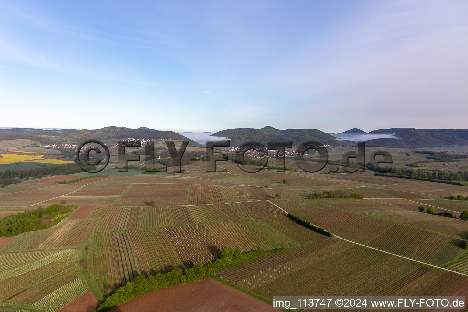 Vue aérienne de Château de Landeck dans le brouillard du matin à Klingenmünster dans le département Rhénanie-Palatinat, Allemagne