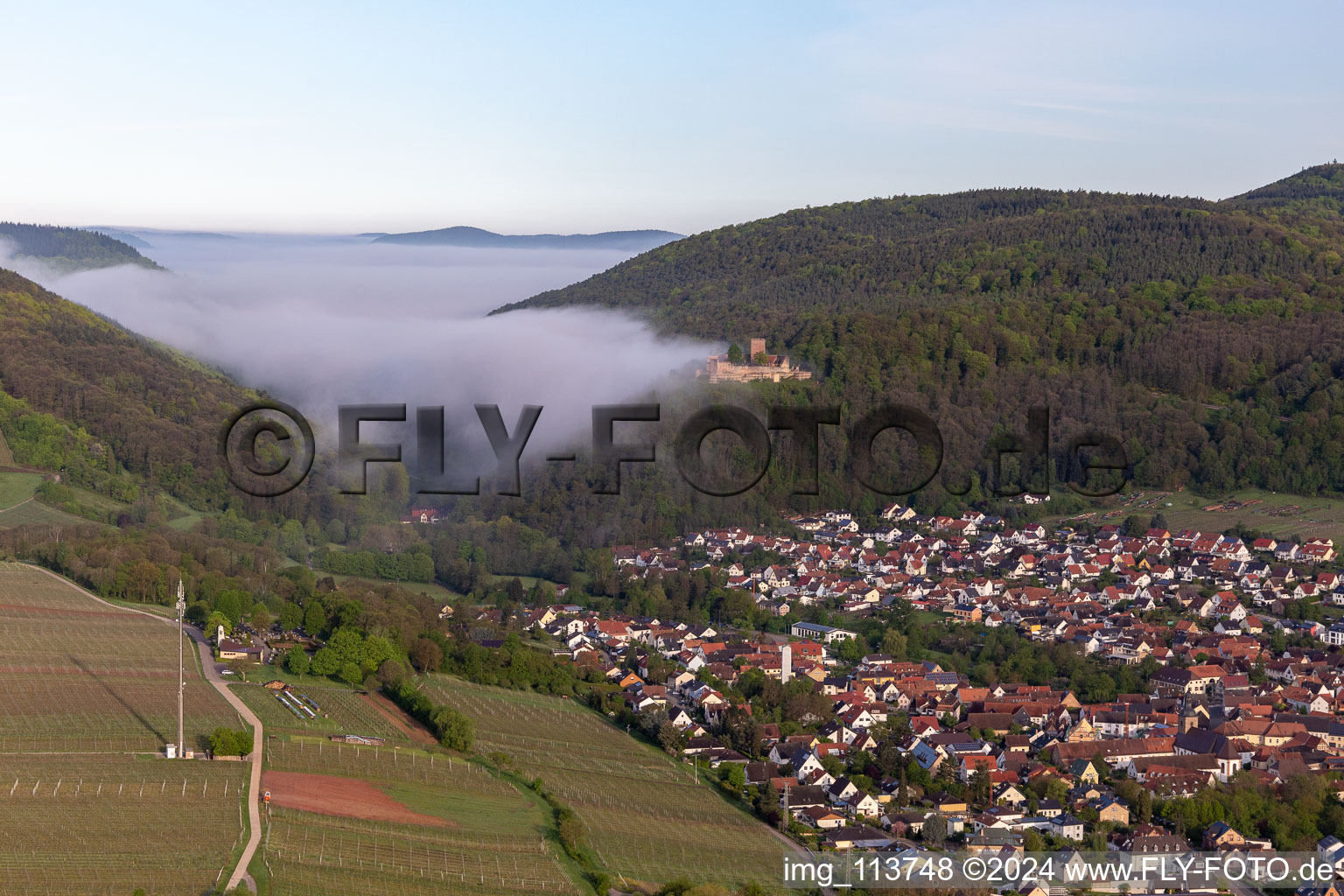 Vue aérienne de Château de Landeck dans le brouillard du matin à Klingenmünster dans le département Rhénanie-Palatinat, Allemagne