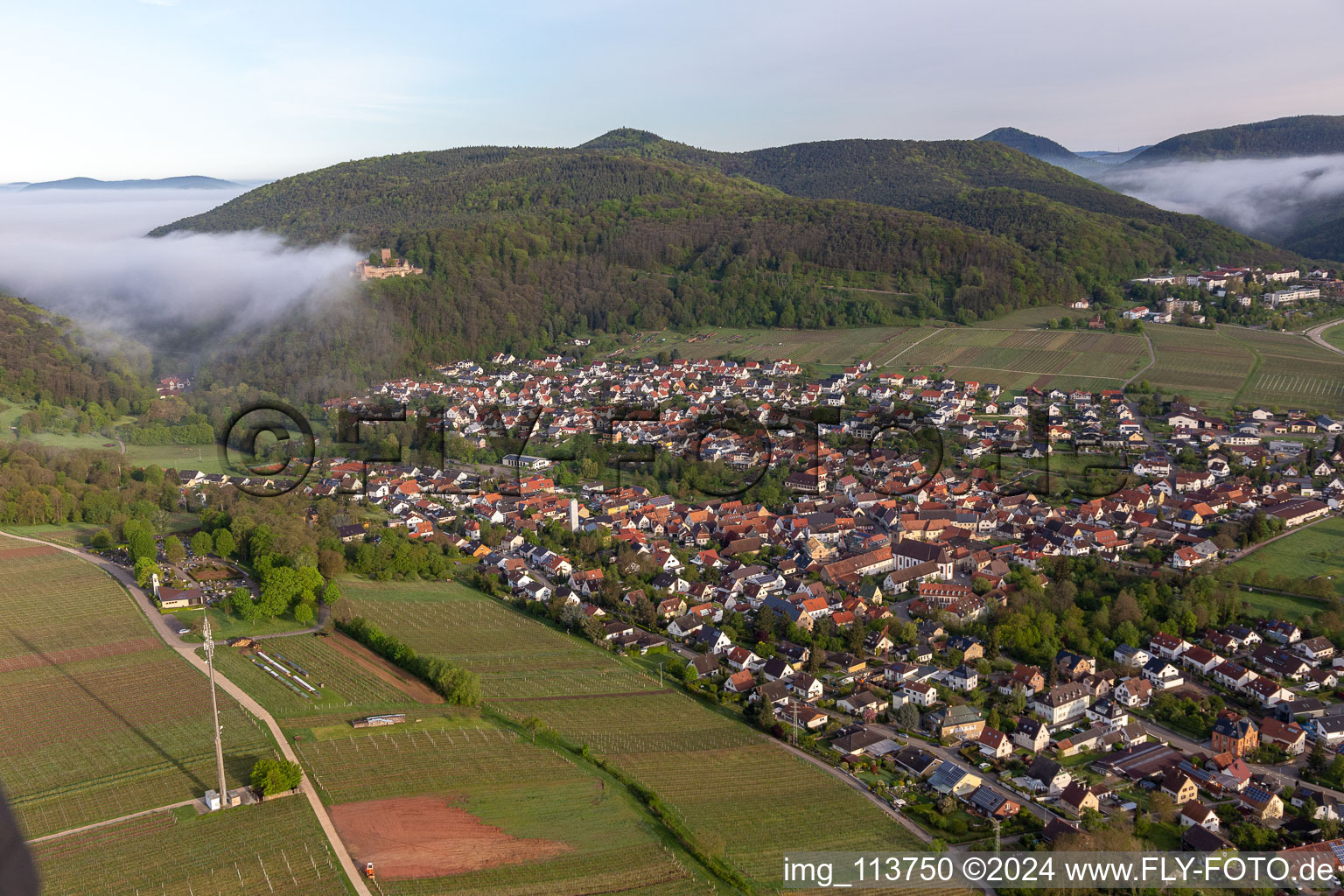 Vue oblique de Château de Landeck dans le brouillard du matin à Klingenmünster dans le département Rhénanie-Palatinat, Allemagne