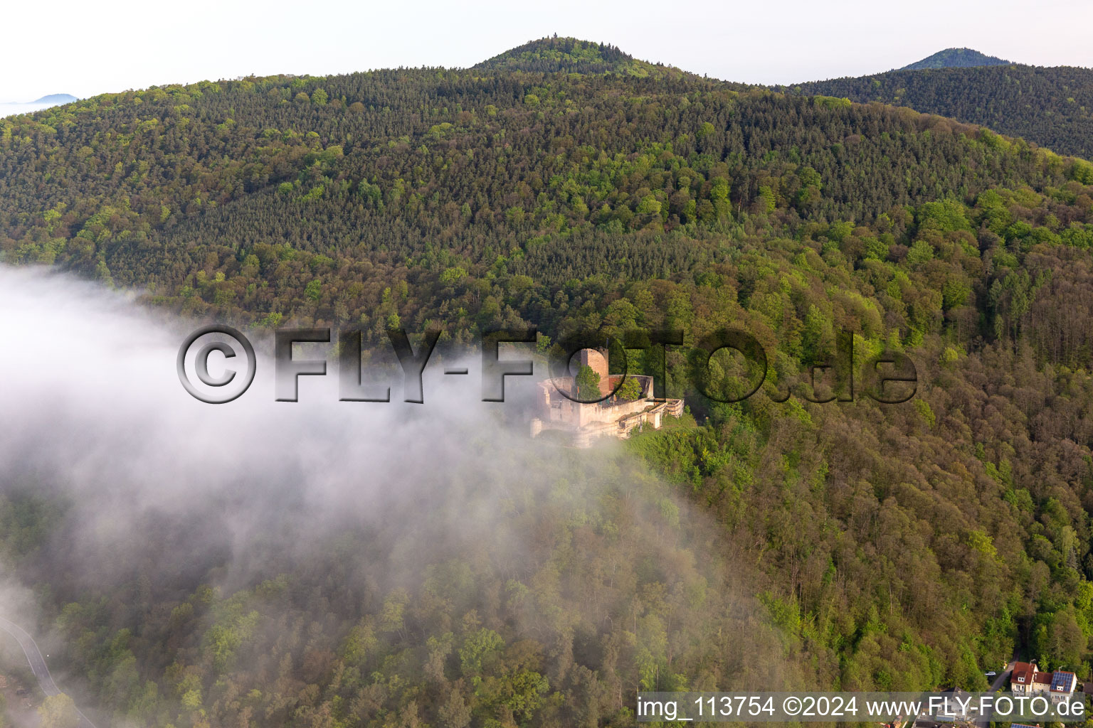 Château de Landeck dans le brouillard du matin à Klingenmünster dans le département Rhénanie-Palatinat, Allemagne hors des airs