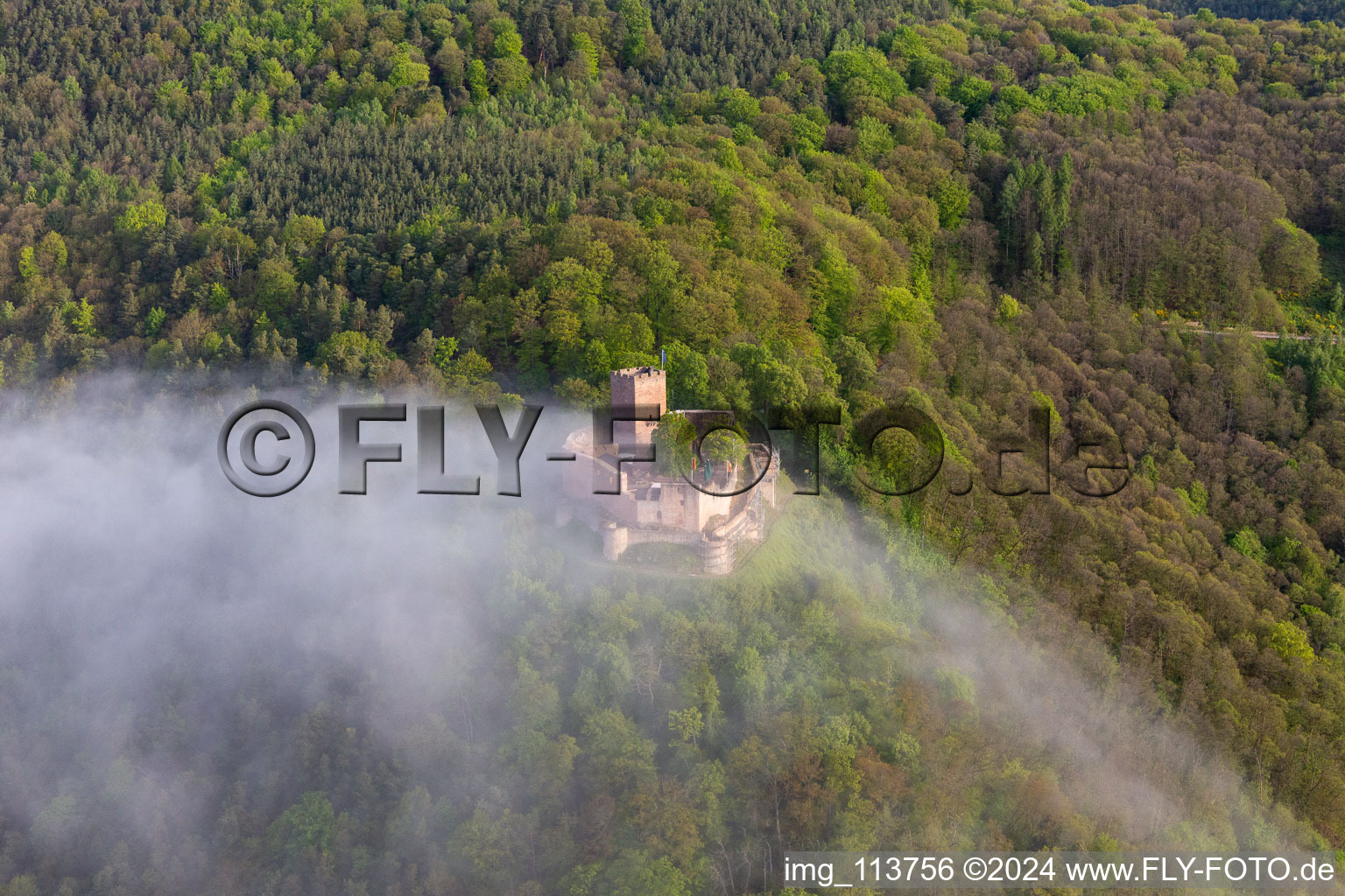 Château de Landeck dans le brouillard du matin à Klingenmünster dans le département Rhénanie-Palatinat, Allemagne vue d'en haut