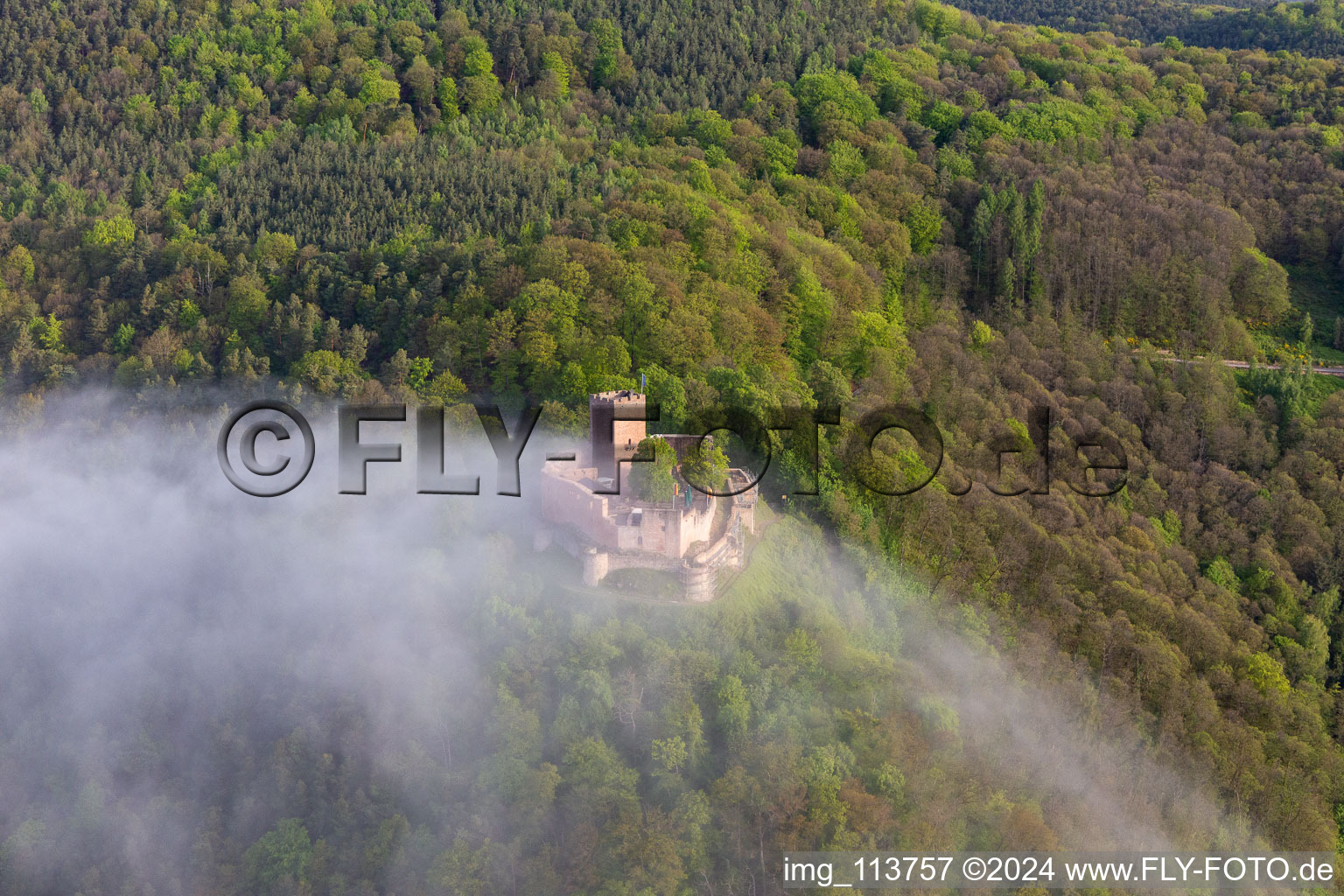 Château de Landeck dans le brouillard du matin à Klingenmünster dans le département Rhénanie-Palatinat, Allemagne depuis l'avion