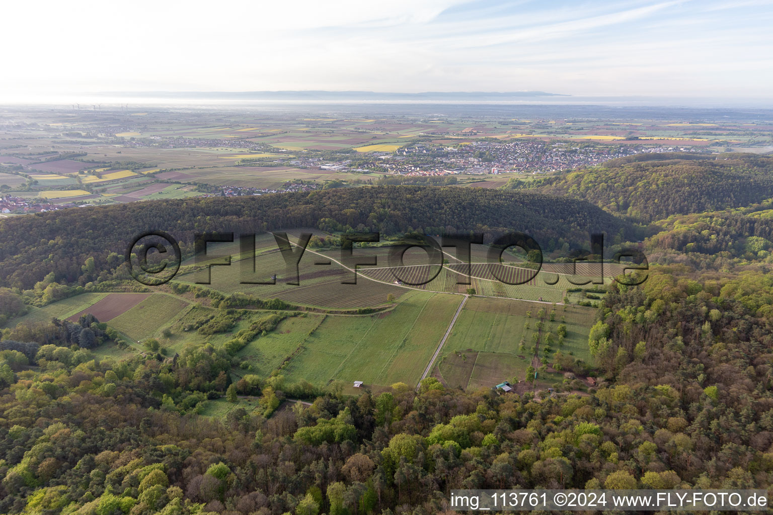 Photographie aérienne de Haardtrand-Wolfsteig à Pleisweiler-Oberhofen dans le département Rhénanie-Palatinat, Allemagne