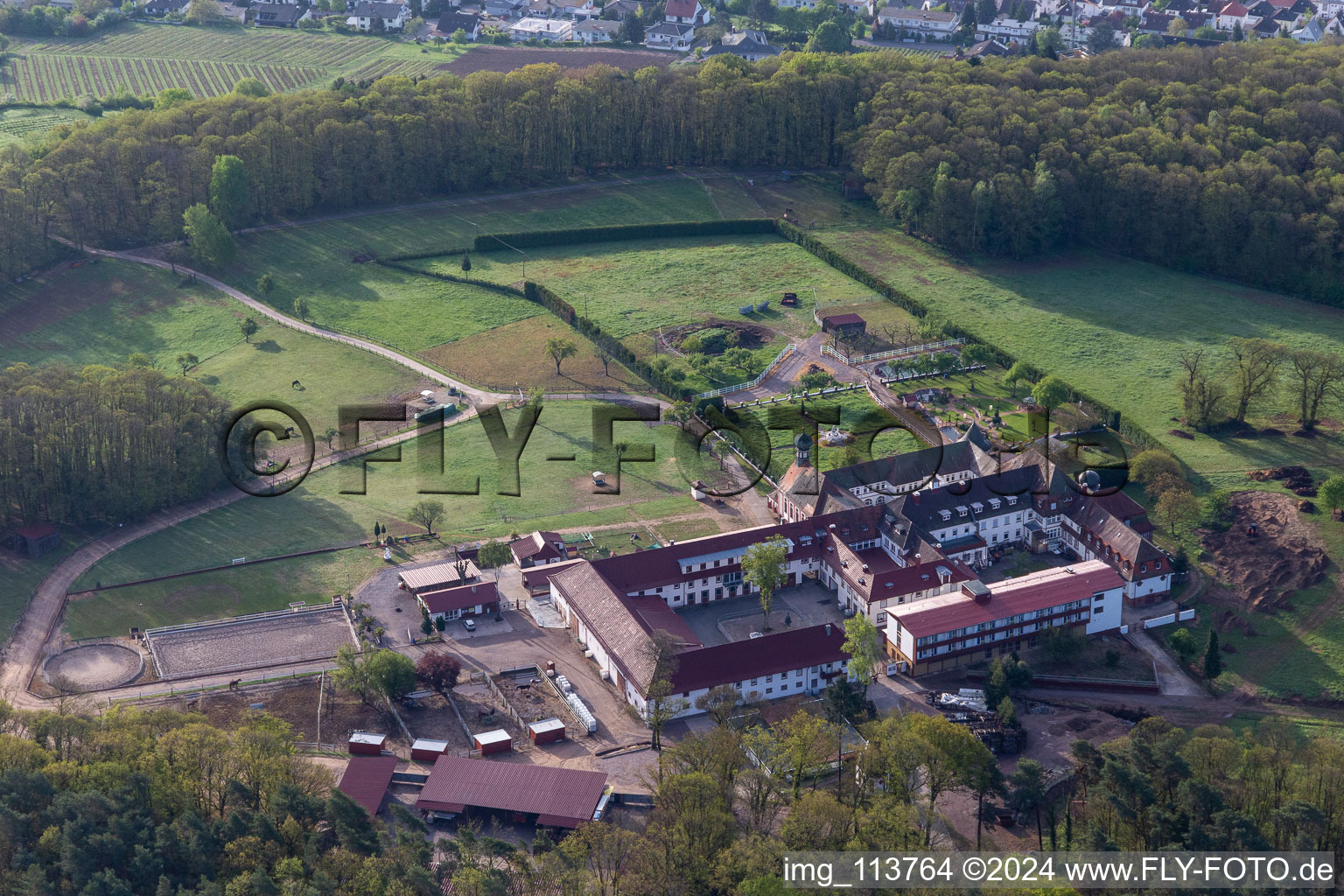 Vue d'oiseau de Bad Bergzabern dans le département Rhénanie-Palatinat, Allemagne