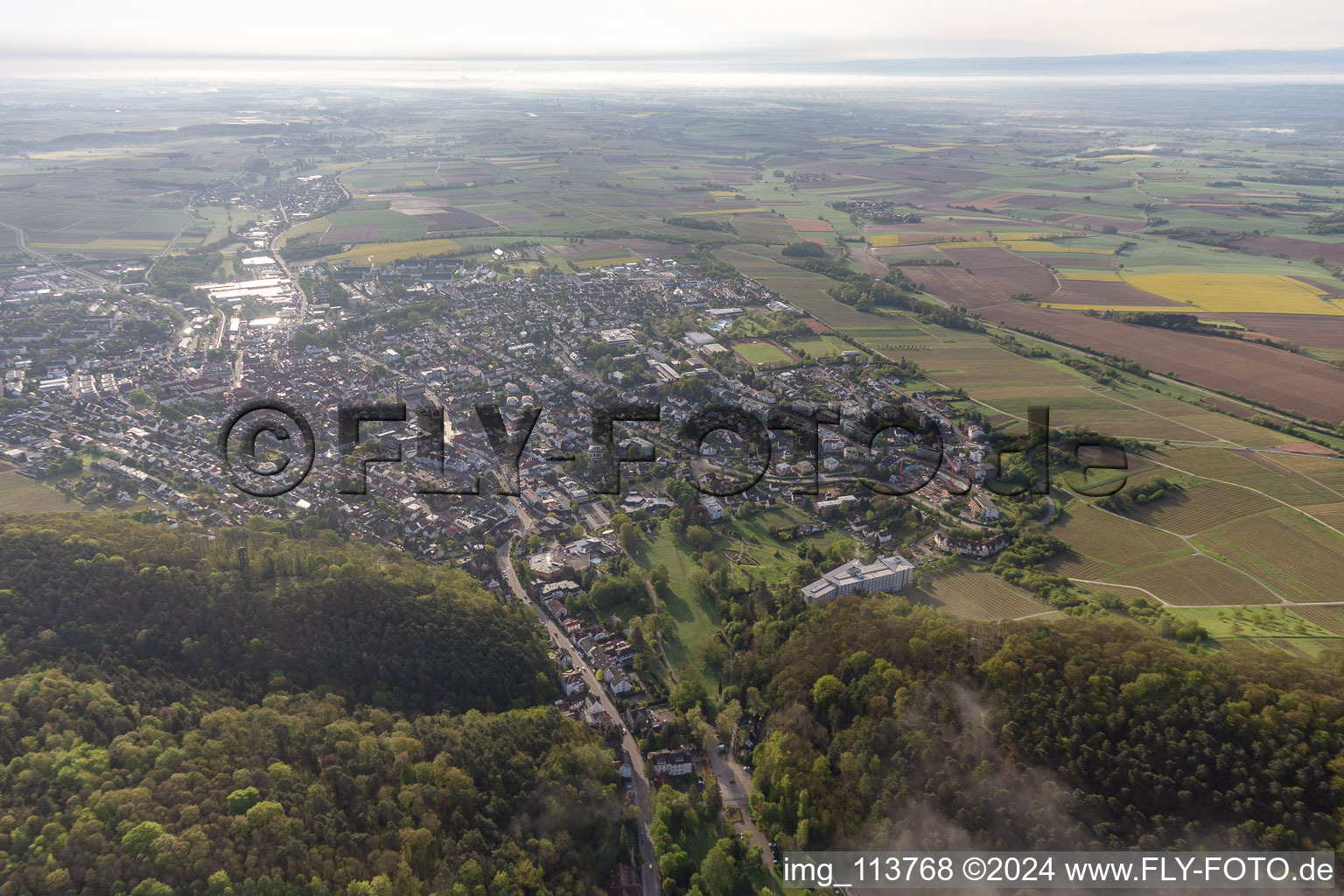 Bad Bergzabern dans le département Rhénanie-Palatinat, Allemagne du point de vue du drone