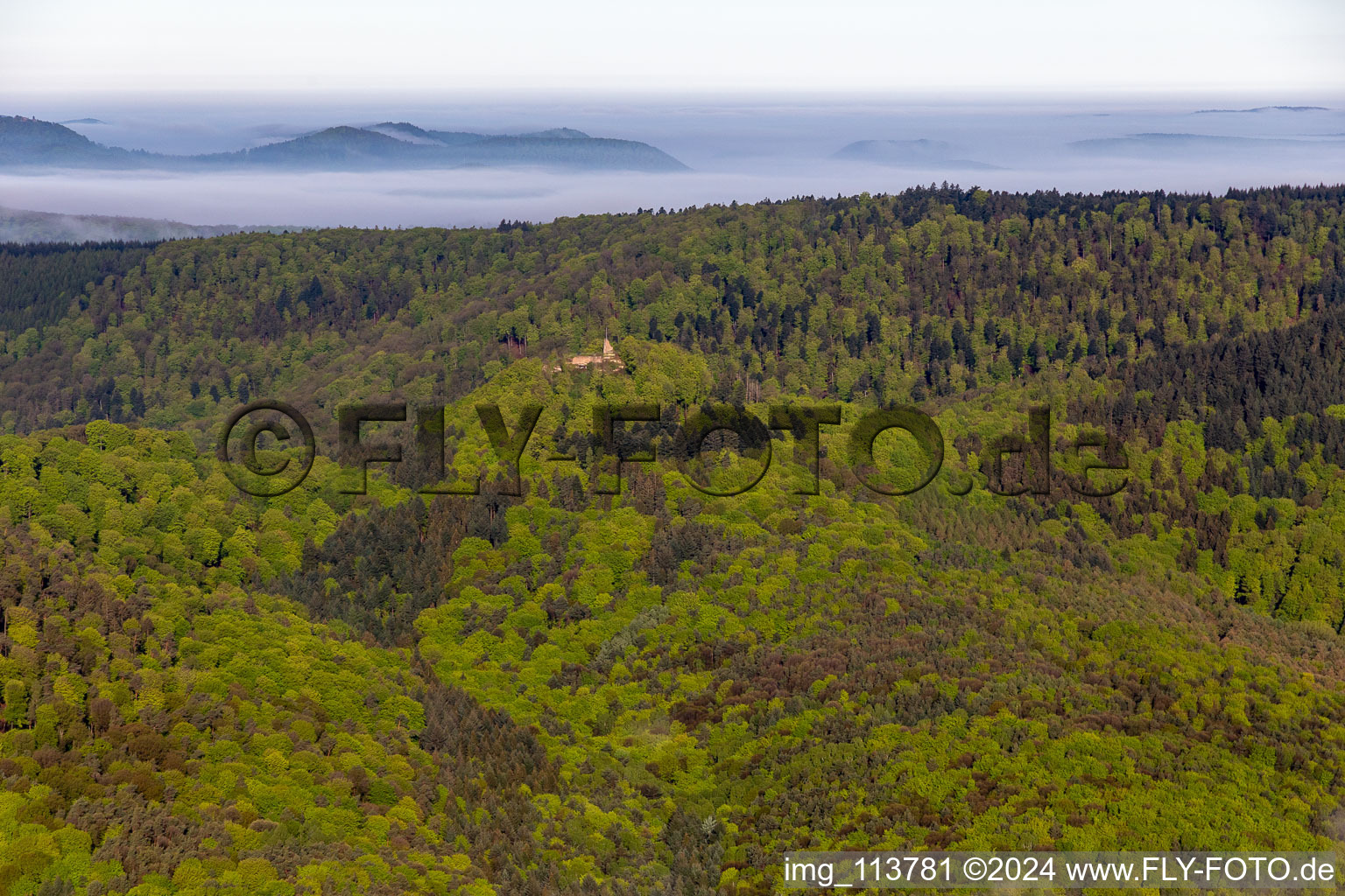 Vue aérienne de Ruines du château de Guttenberg à Oberotterbach dans le département Rhénanie-Palatinat, Allemagne