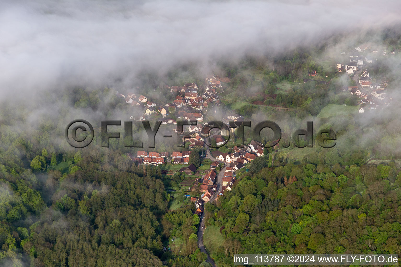 Photographie aérienne de Wissembourg dans le département Bas Rhin, France