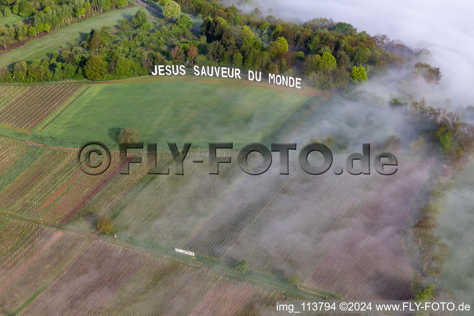 Photographie aérienne de Jésus Sauveur du Monde, Hannesacker à Rott dans le département Bas Rhin, France