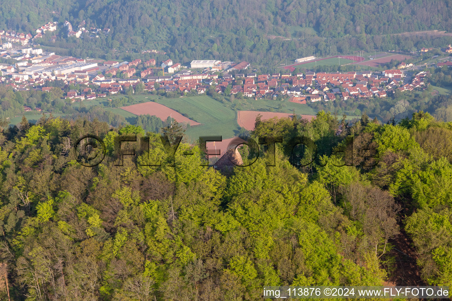 Vue aérienne de Tour Hohenberg à Birkweiler dans le département Rhénanie-Palatinat, Allemagne