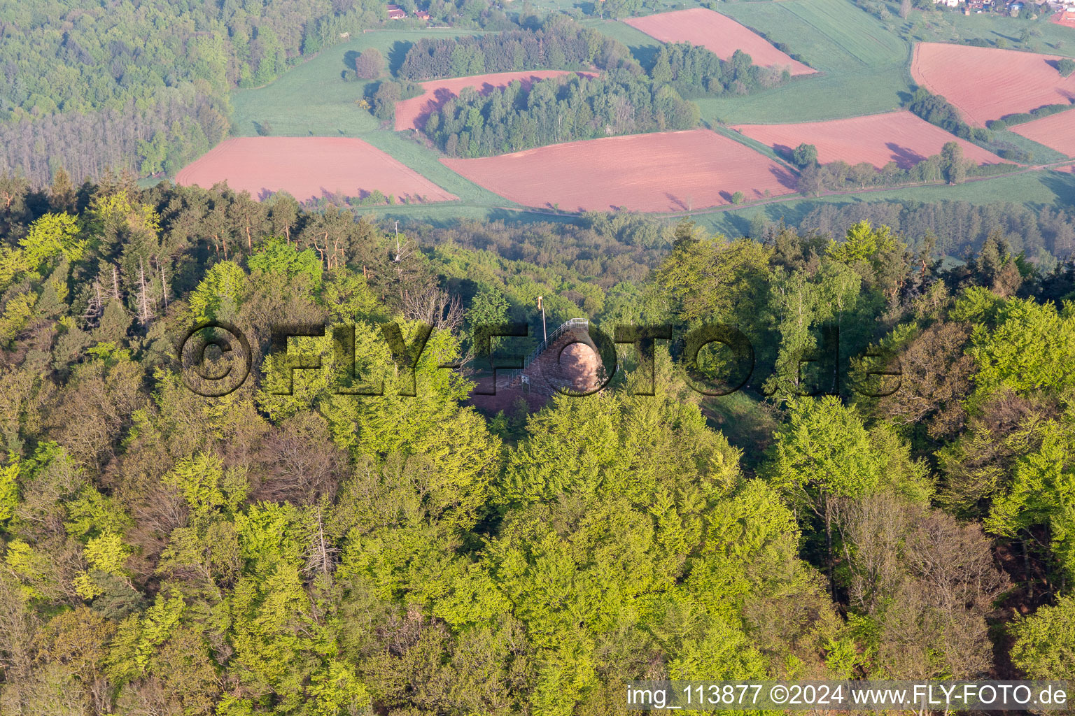 Vue aérienne de Tour Hohenberg à Birkweiler dans le département Rhénanie-Palatinat, Allemagne