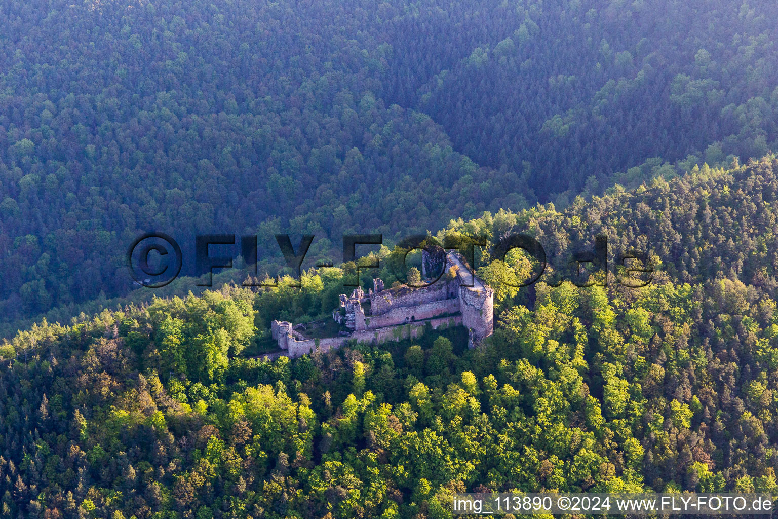 Vue aérienne de Ruines du château de Neuscharfeneck à Flemlingen dans le département Rhénanie-Palatinat, Allemagne