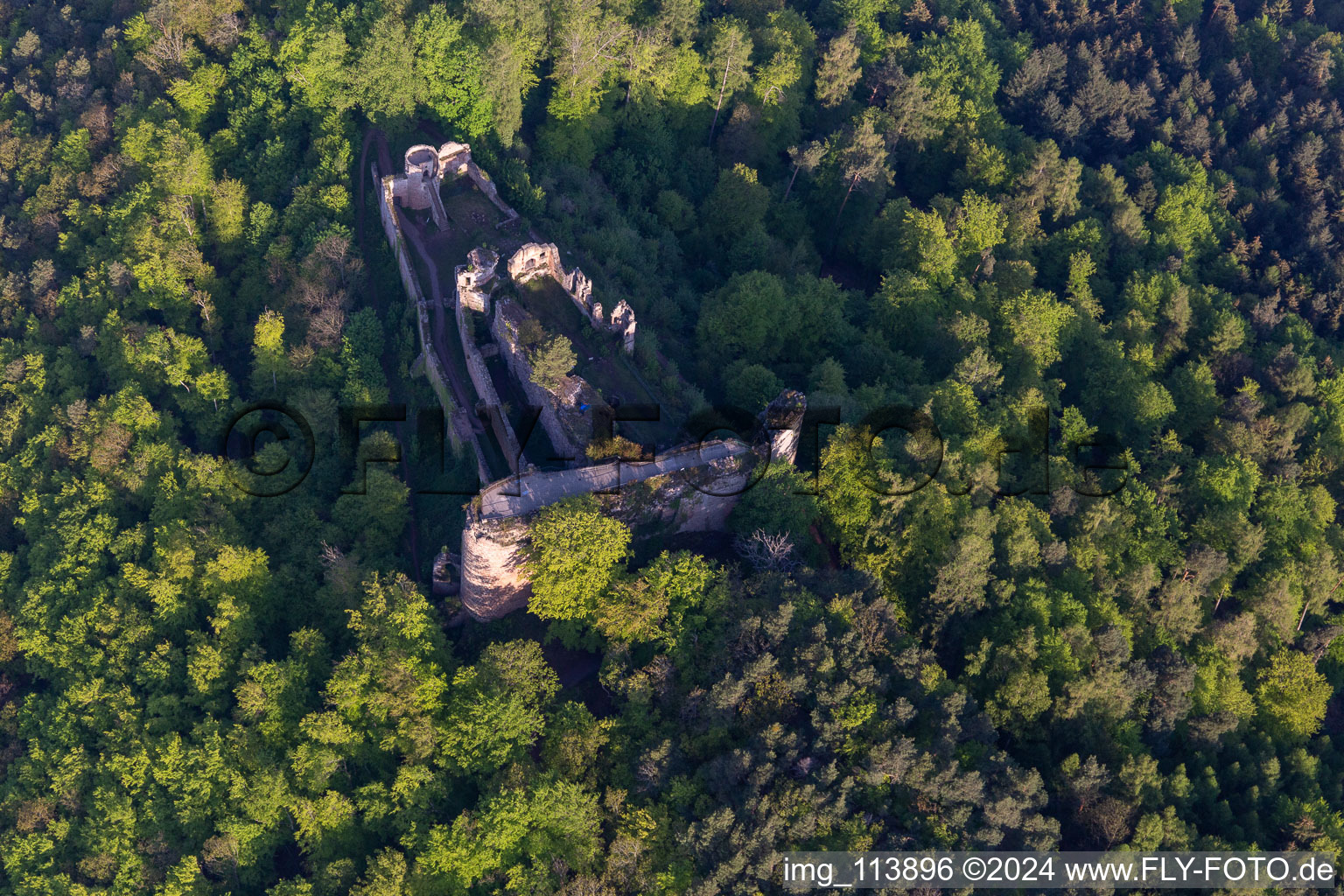 Vue aérienne de Ruines du château de Neuscharfeneck à Flemlingen dans le département Rhénanie-Palatinat, Allemagne