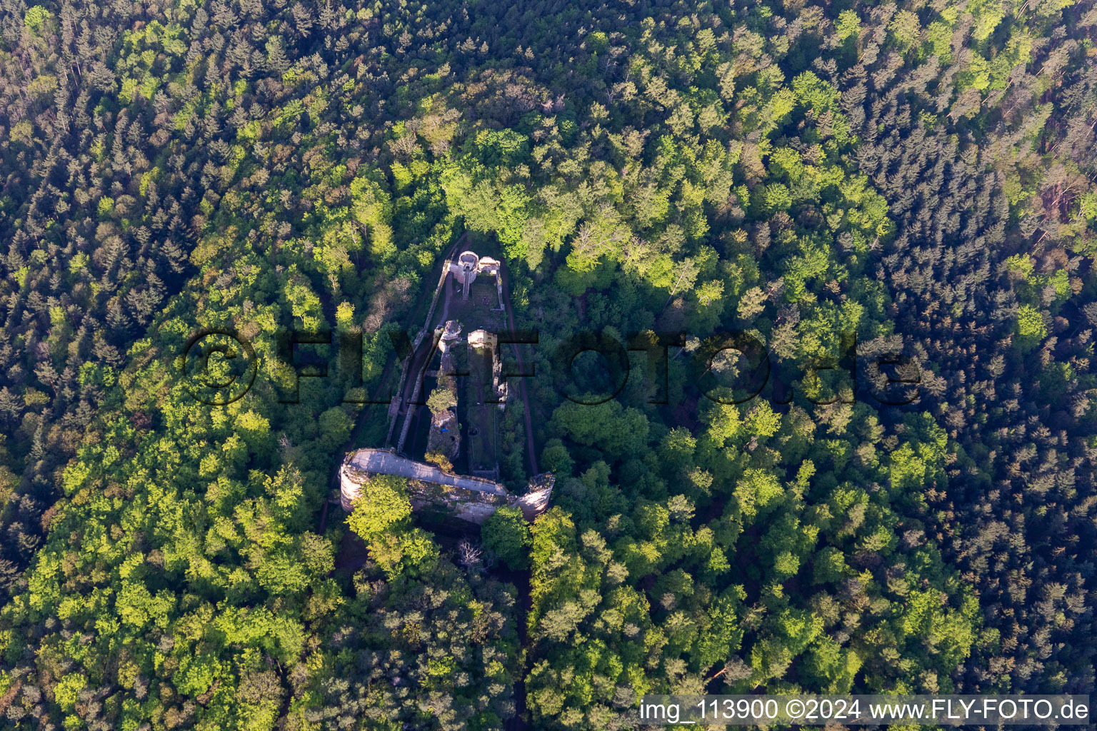 Photographie aérienne de Ruines du château de Neuscharfeneck à Flemlingen dans le département Rhénanie-Palatinat, Allemagne