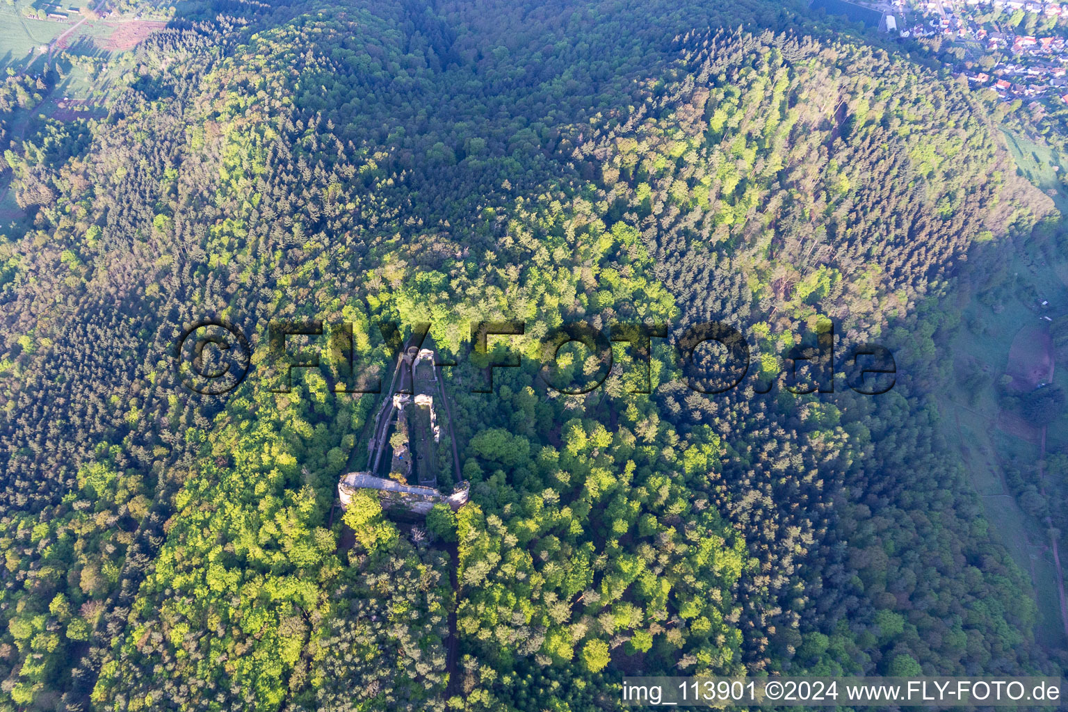 Vue oblique de Ruines du château de Neuscharfeneck à Flemlingen dans le département Rhénanie-Palatinat, Allemagne