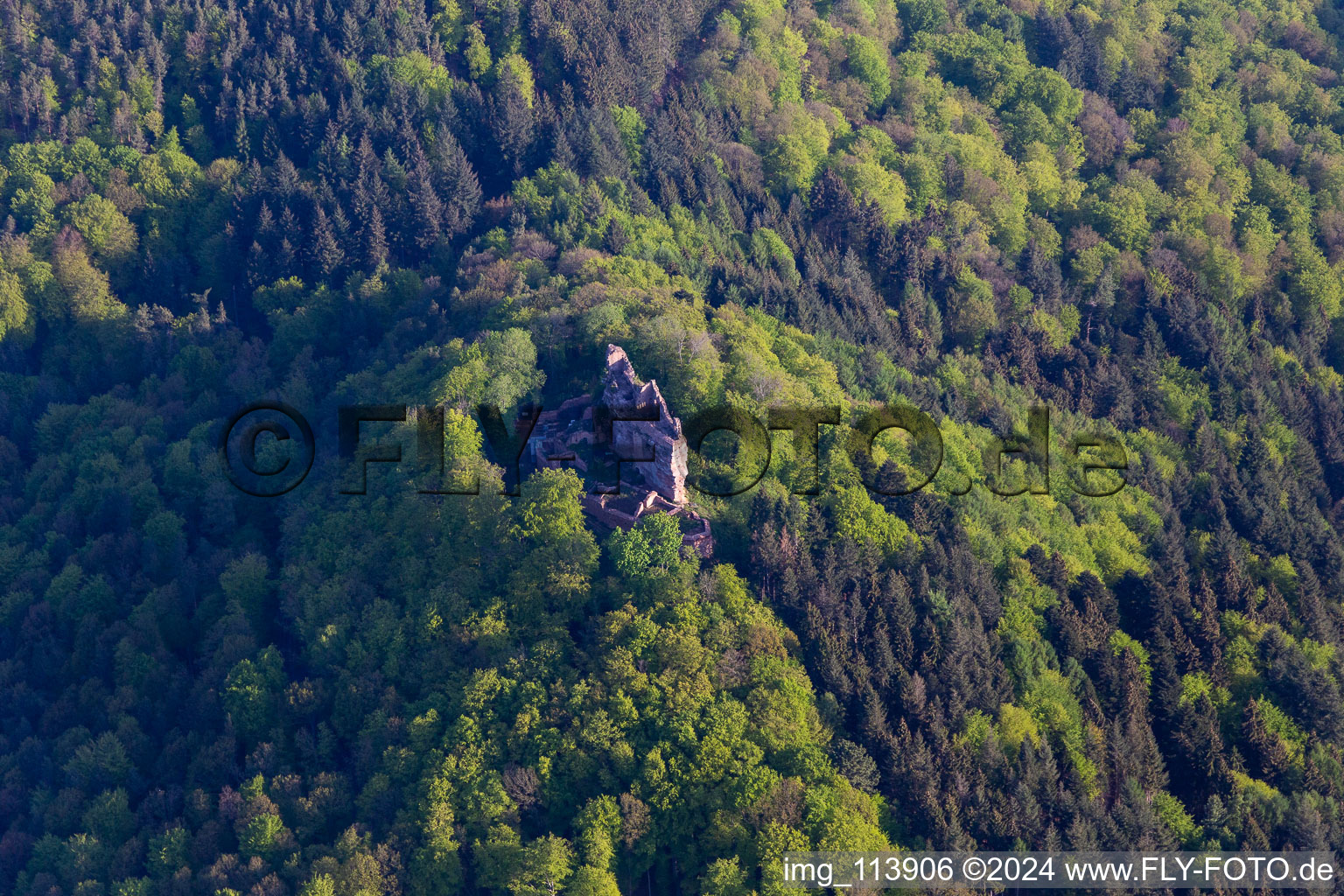 Vue aérienne de Château du Maître des Ânes à Ramberg dans le département Rhénanie-Palatinat, Allemagne