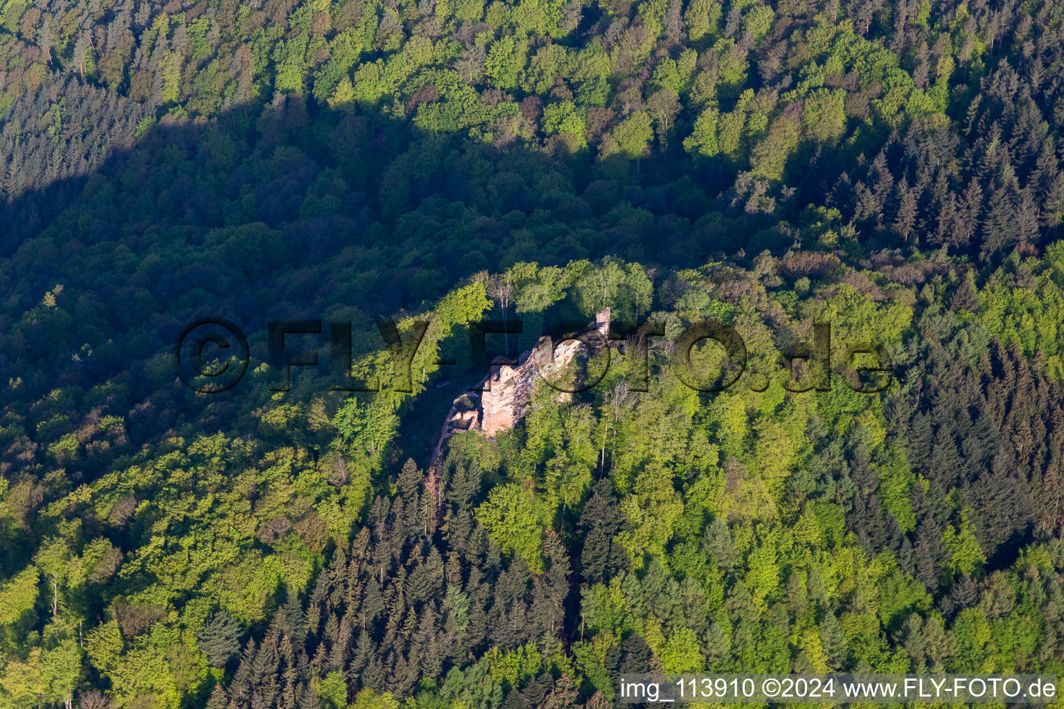 Vue aérienne de Château du Maître des Ânes à Ramberg dans le département Rhénanie-Palatinat, Allemagne