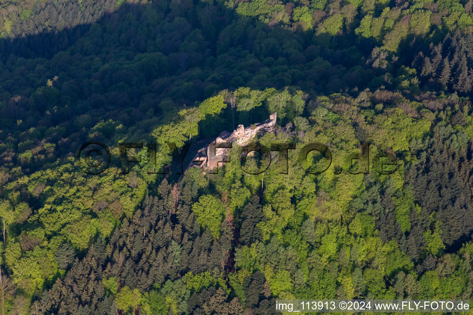 Vue aérienne de Ruines et vestiges du mur de l'ancien château de Meistersel à Ramberg dans le département Rhénanie-Palatinat, Allemagne