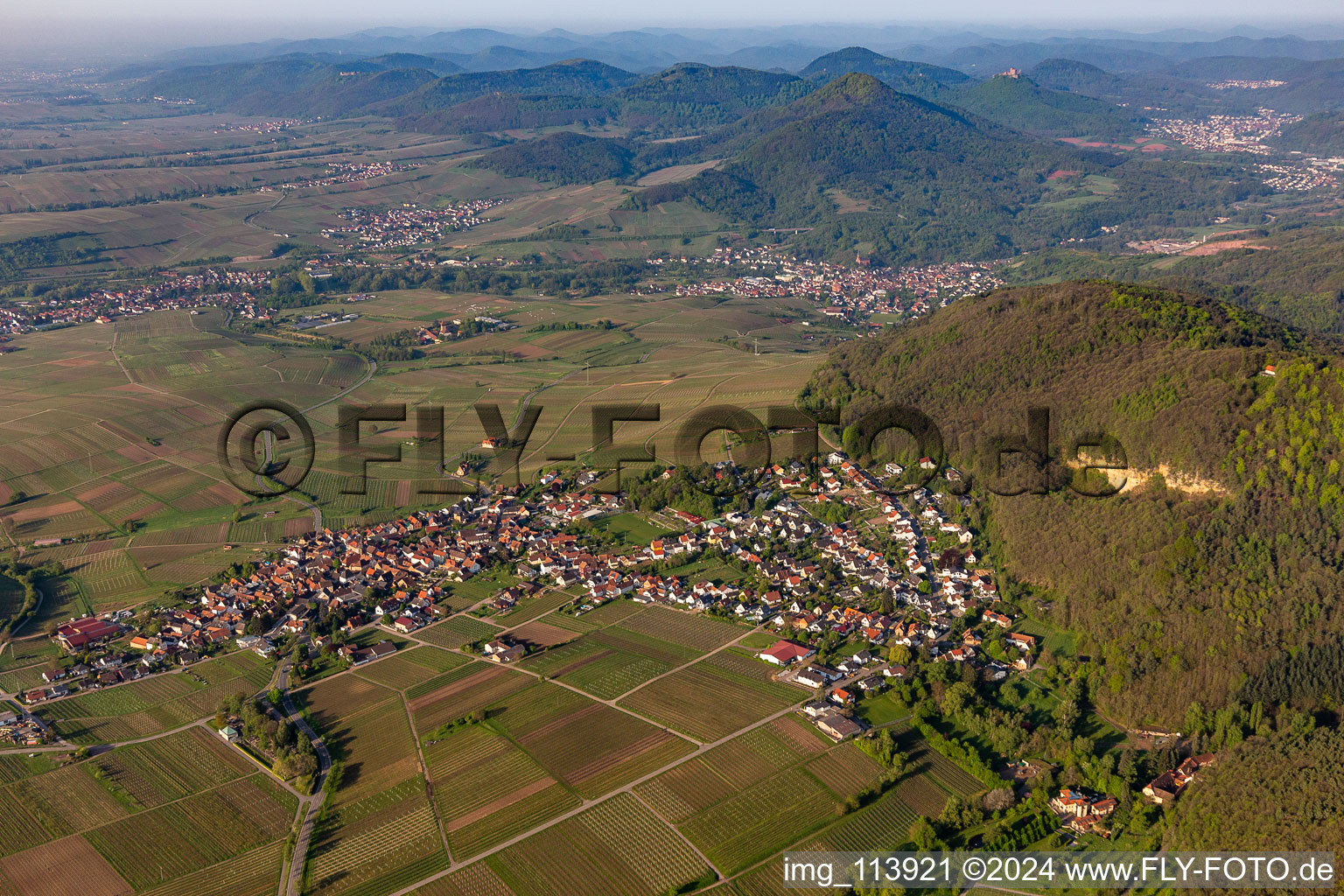 Frankweiler dans le département Rhénanie-Palatinat, Allemagne du point de vue du drone