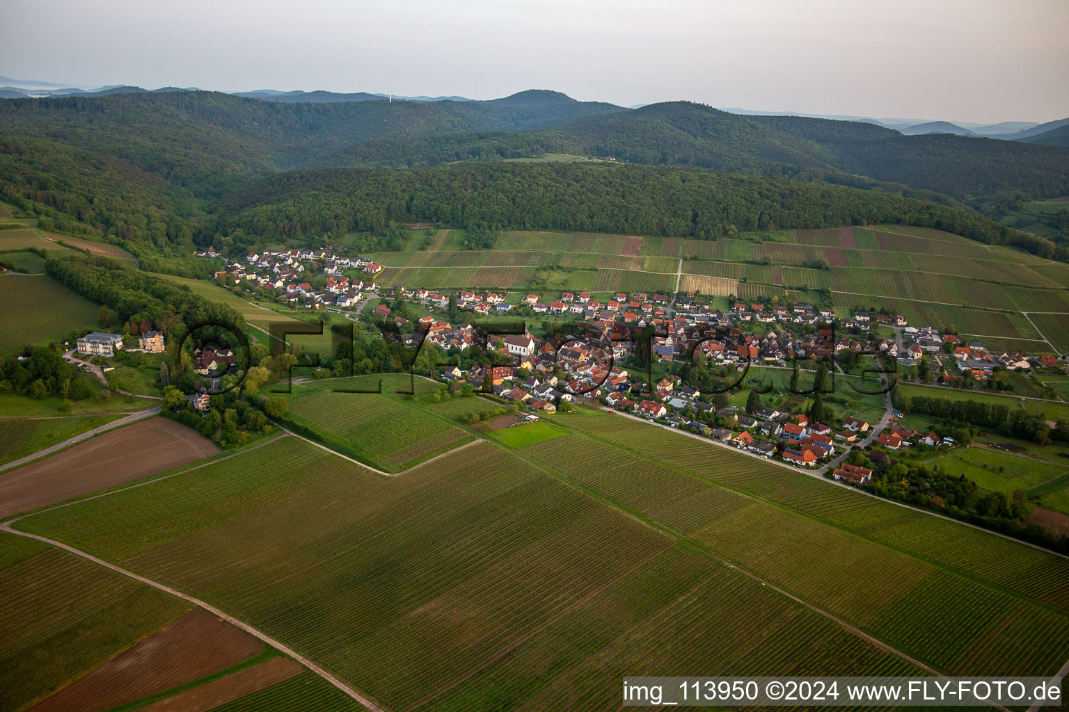 Quartier Pleisweiler in Pleisweiler-Oberhofen dans le département Rhénanie-Palatinat, Allemagne d'en haut