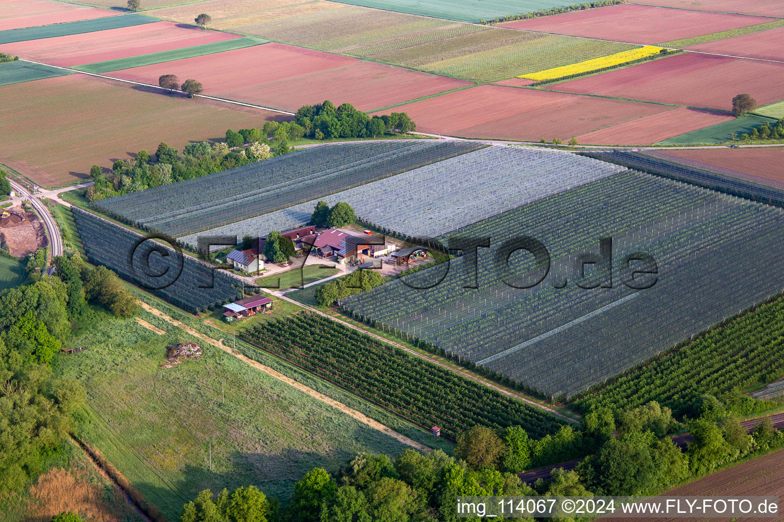 Vue aérienne de Ferme de fruits et de spagels de Gensheimer à Steinweiler dans le département Rhénanie-Palatinat, Allemagne