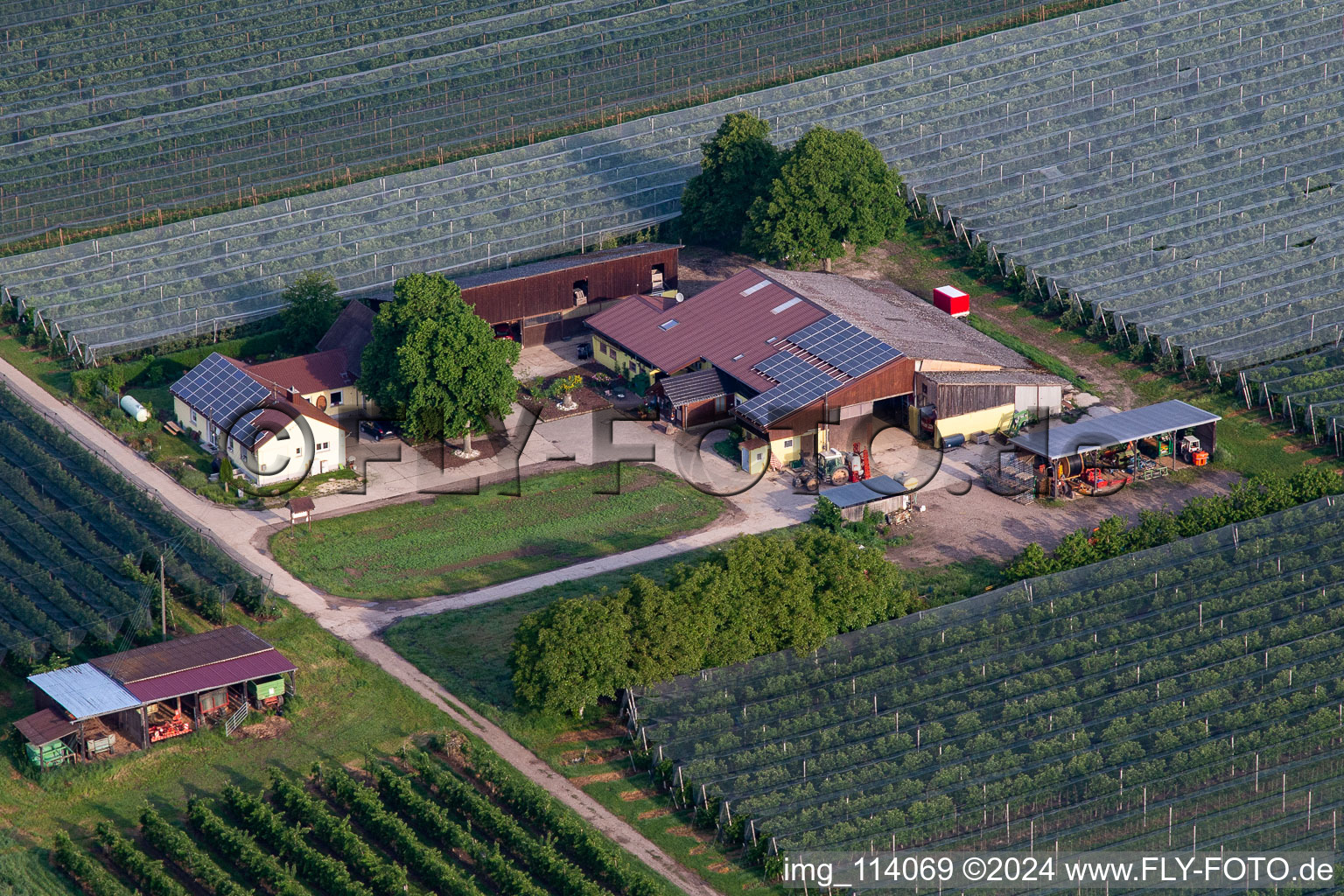 Photographie aérienne de Ferme de fruits et de spagels de Gensheimer à Steinweiler dans le département Rhénanie-Palatinat, Allemagne