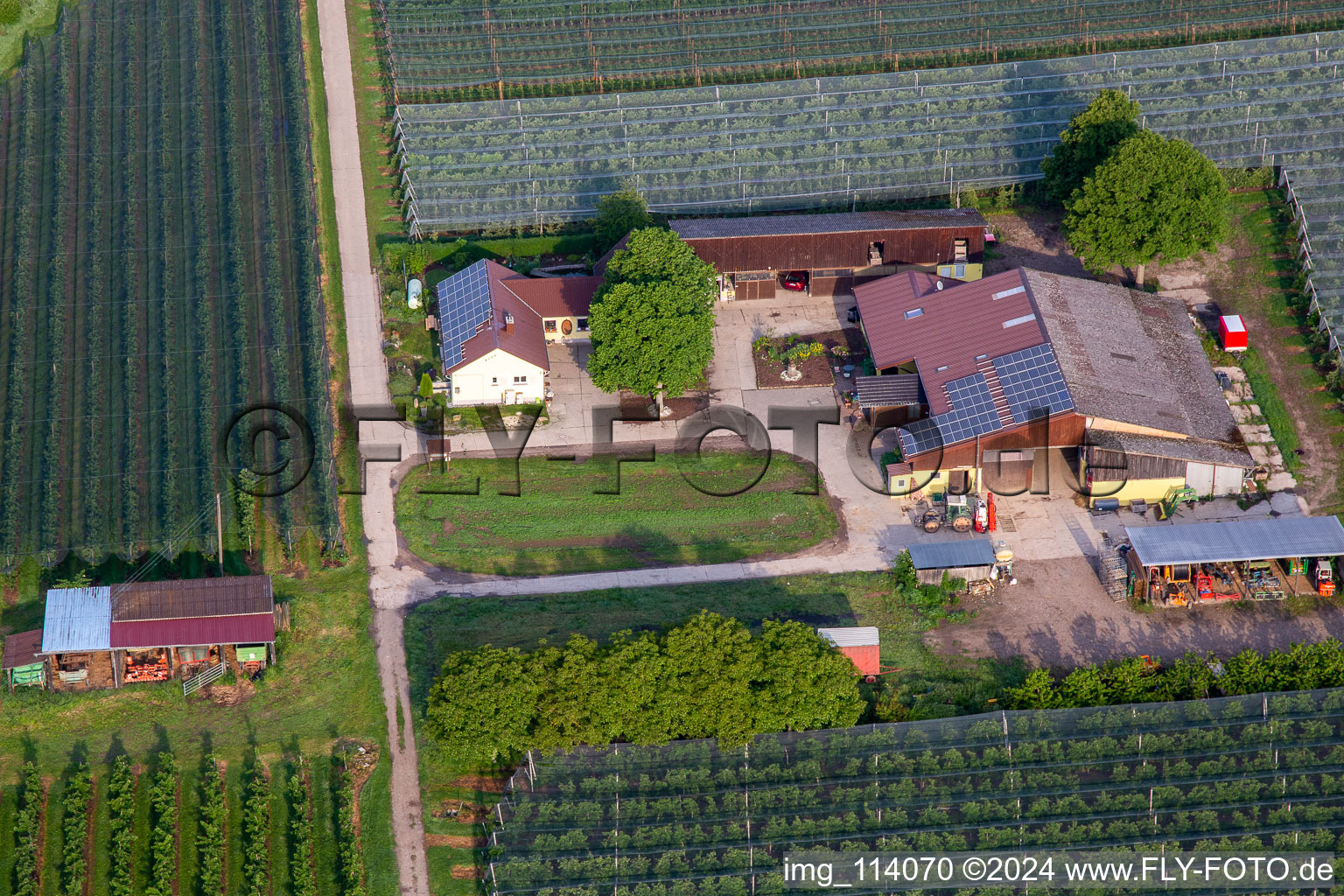 Vue oblique de Ferme de fruits et de spagels de Gensheimer à Steinweiler dans le département Rhénanie-Palatinat, Allemagne