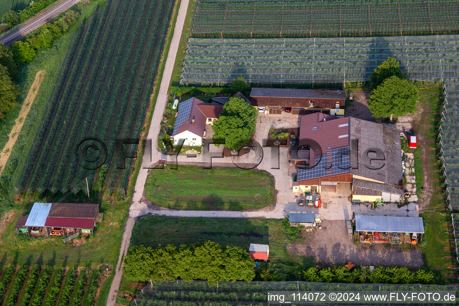 Ferme de fruits et de spagels de Gensheimer à Steinweiler dans le département Rhénanie-Palatinat, Allemagne d'en haut