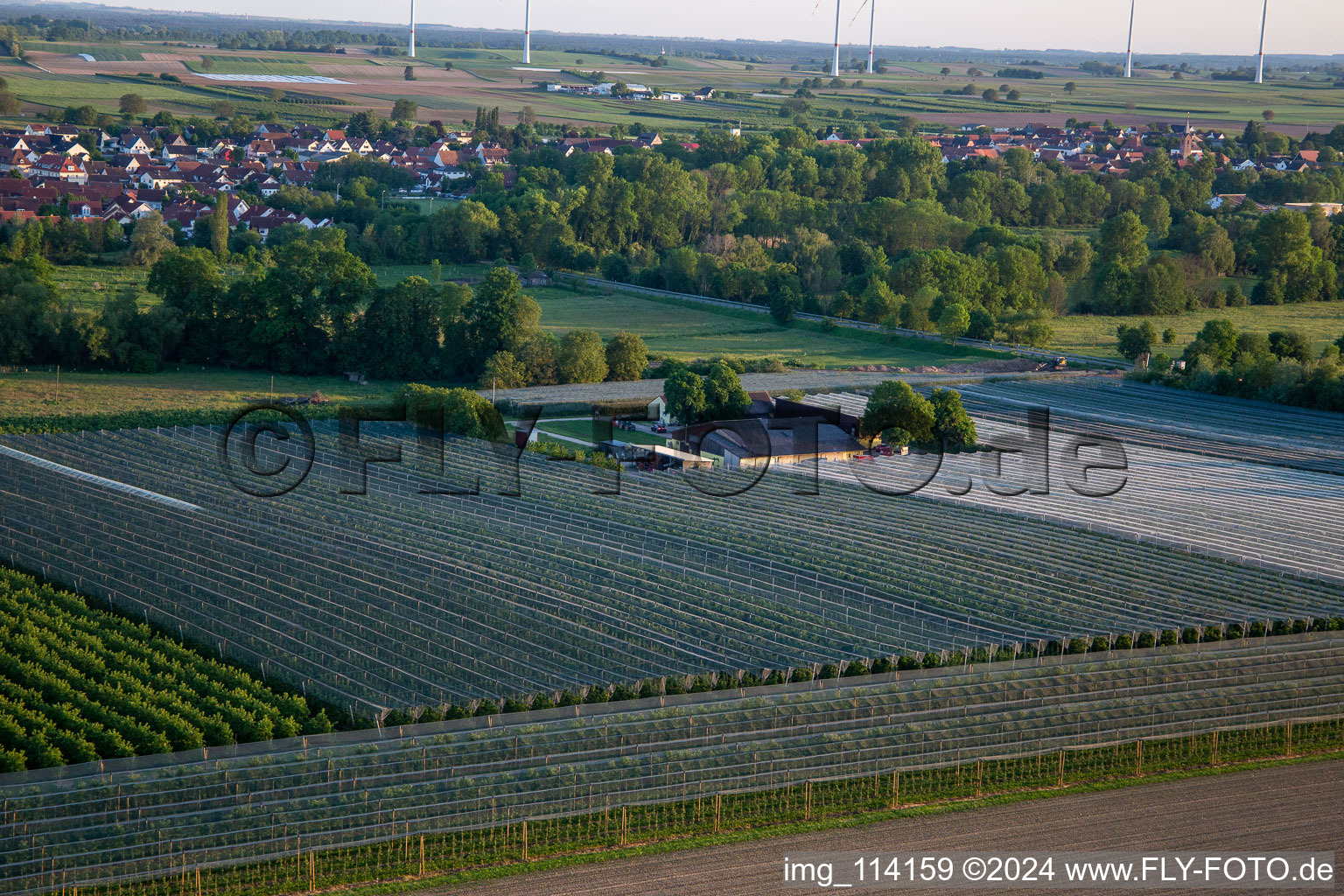 Ferme de fruits et de spagels de Gensheimer à Steinweiler dans le département Rhénanie-Palatinat, Allemagne vue d'en haut