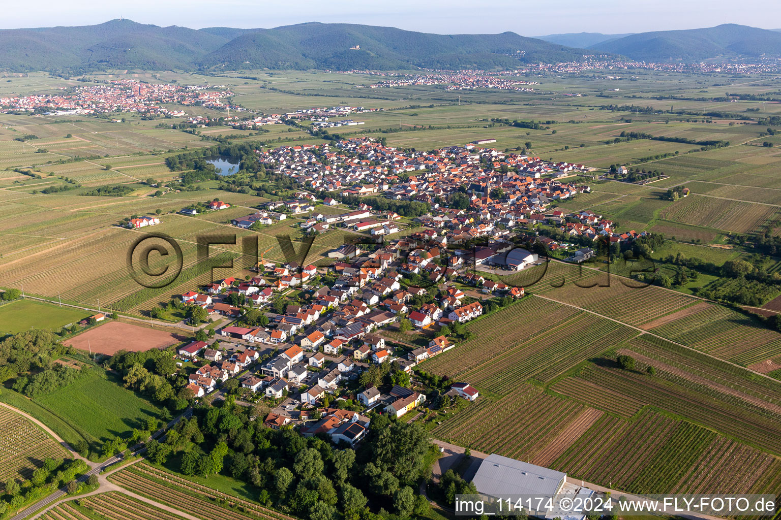 Vue oblique de (Palatinat) à Kirrweiler dans le département Rhénanie-Palatinat, Allemagne