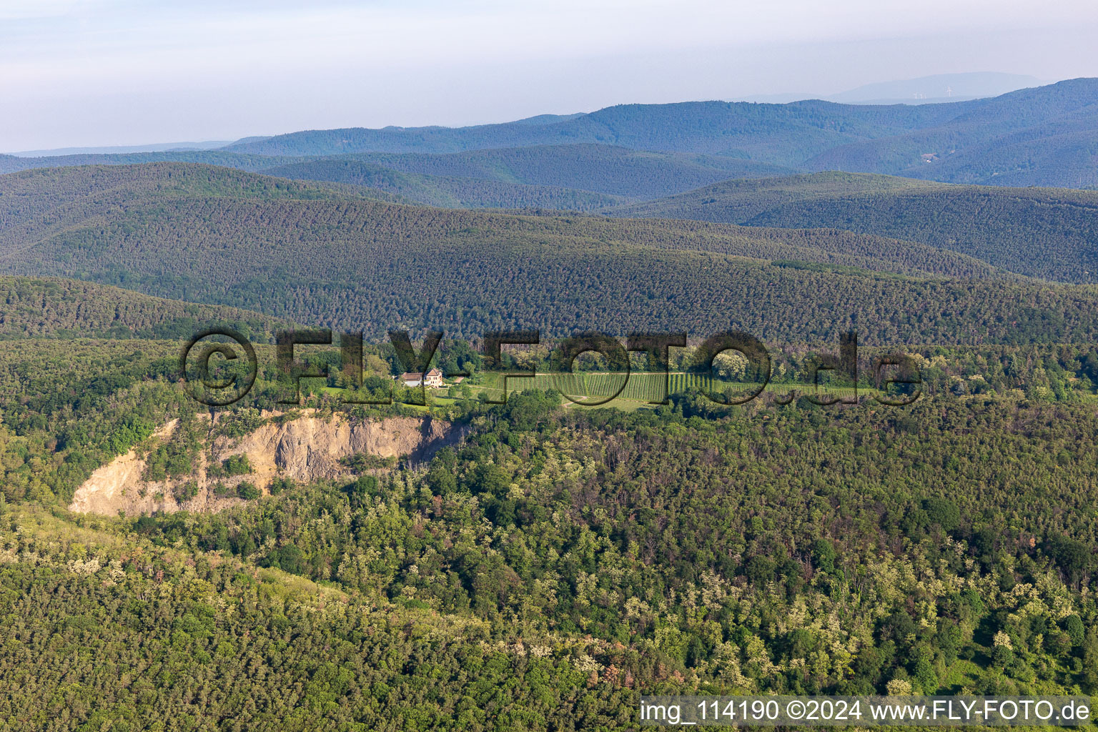 Vue aérienne de Domaine viticole Odinstal à Forst an der Weinstraße dans le département Rhénanie-Palatinat, Allemagne