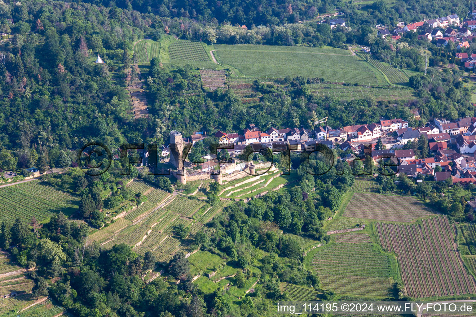 Vue aérienne de Wachtenburg à Wachenheim an der Weinstraße dans le département Rhénanie-Palatinat, Allemagne