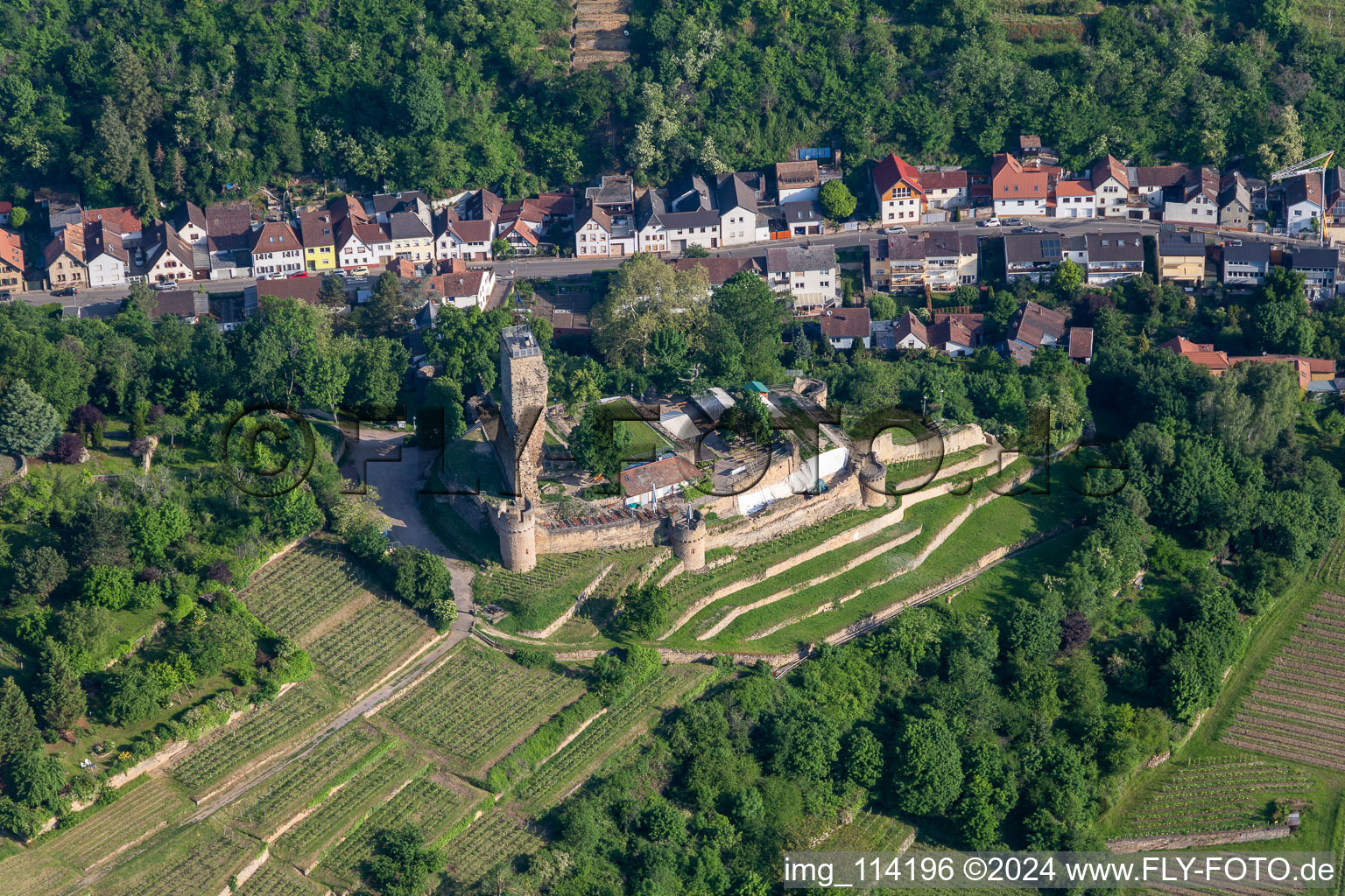 Quartier Wachenheim in Wachenheim an der Weinstraße dans le département Rhénanie-Palatinat, Allemagne hors des airs