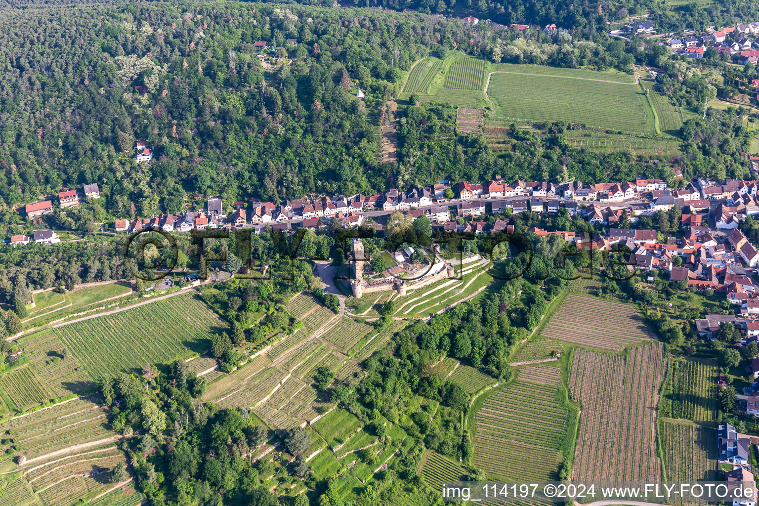 Vue aérienne de Wachtenburg à Wachenheim an der Weinstraße dans le département Rhénanie-Palatinat, Allemagne