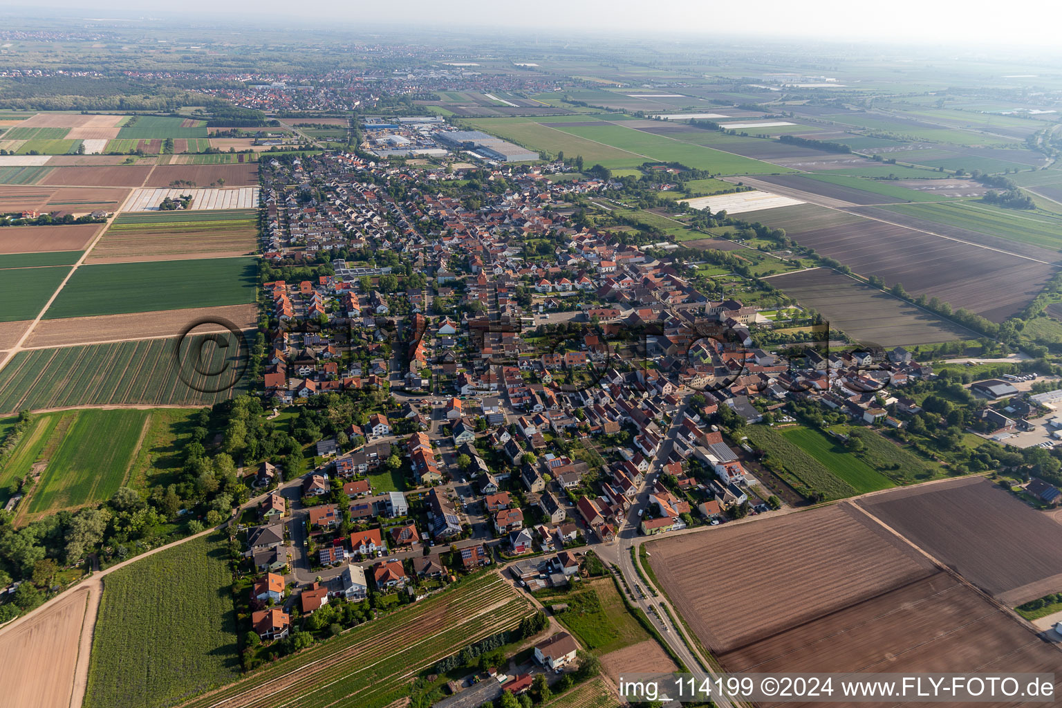 Fußgönheim dans le département Rhénanie-Palatinat, Allemagne vue du ciel