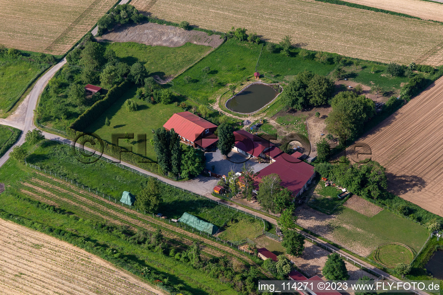 Quartier Herxheim in Herxheim bei Landau dans le département Rhénanie-Palatinat, Allemagne vu d'un drone