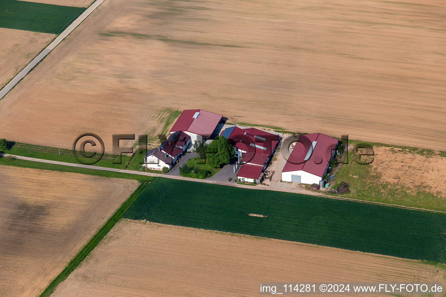 Vue aérienne de Domaine viticole et mousseux Rosenhof à Steinweiler dans le département Rhénanie-Palatinat, Allemagne