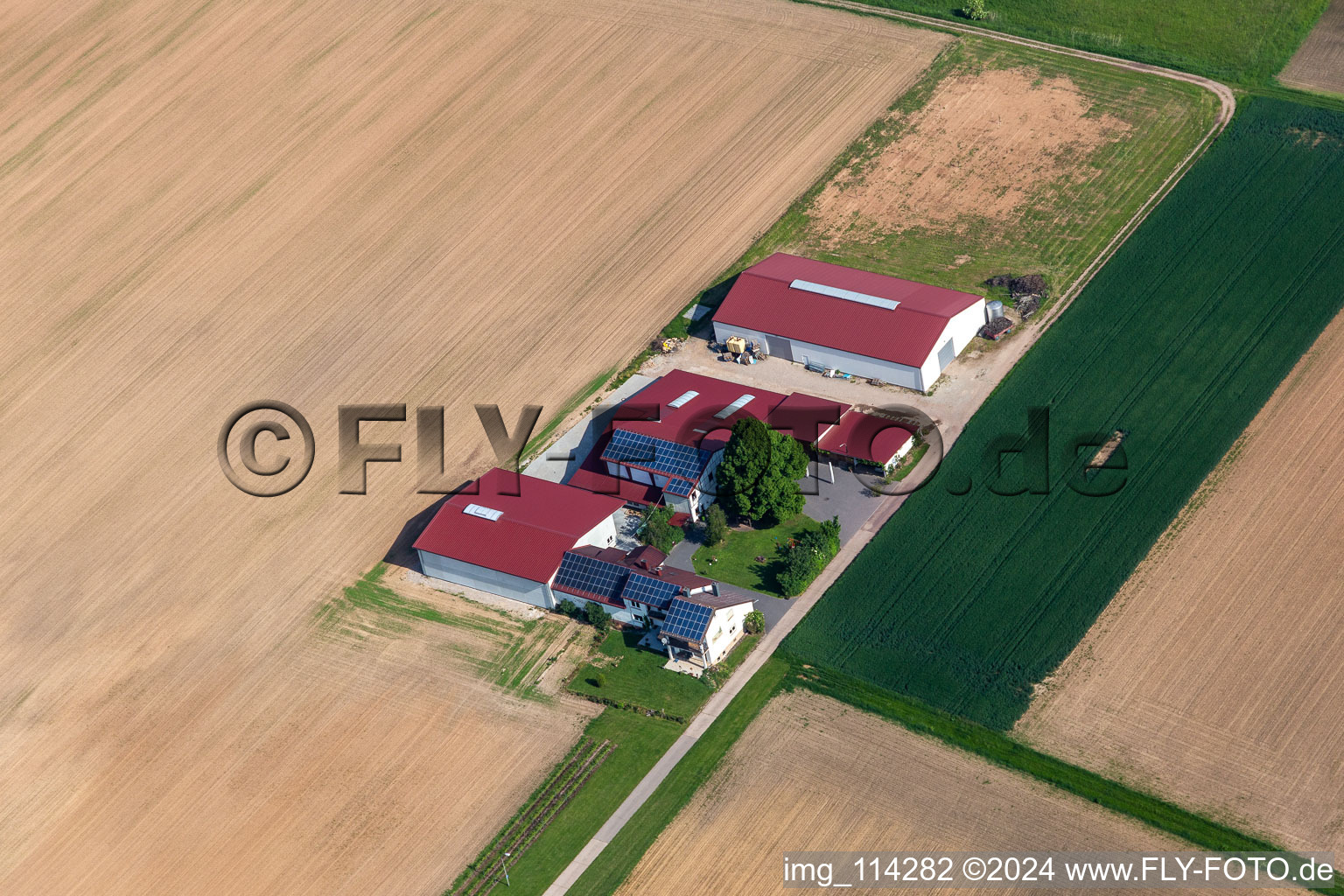 Vue aérienne de Domaine viticole et mousseux Rosenhof à Steinweiler dans le département Rhénanie-Palatinat, Allemagne