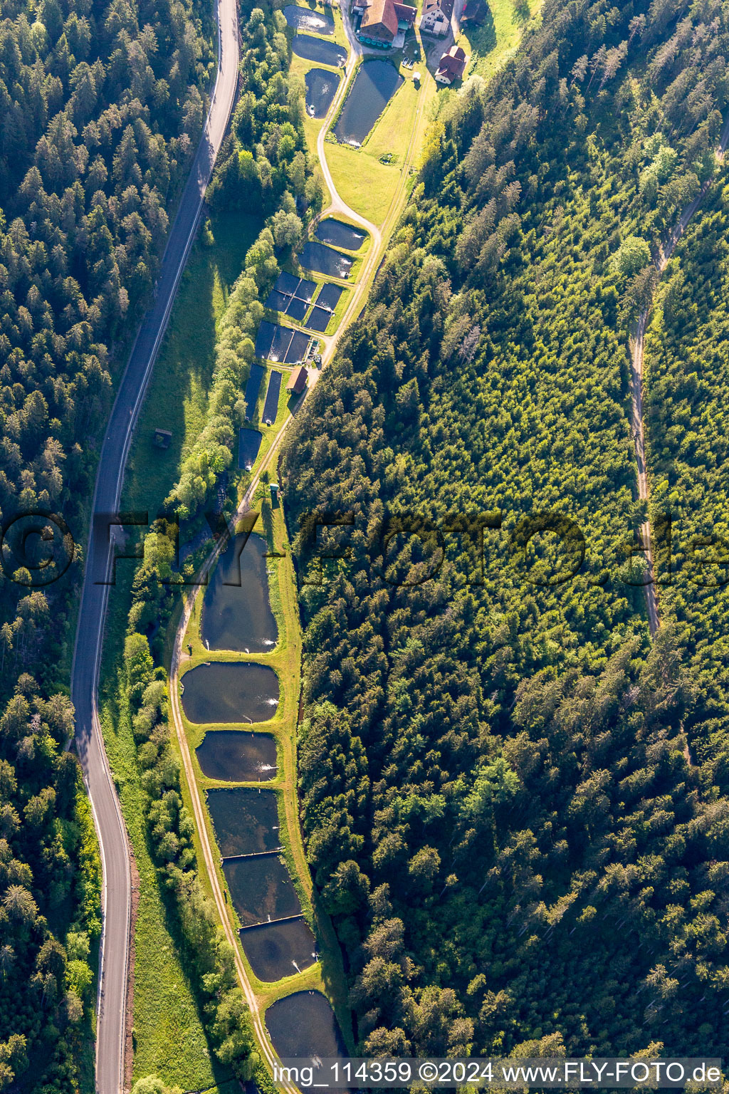 Vue aérienne de Étangs à poissons sur le Nagold à Grömbach dans le département Bade-Wurtemberg, Allemagne