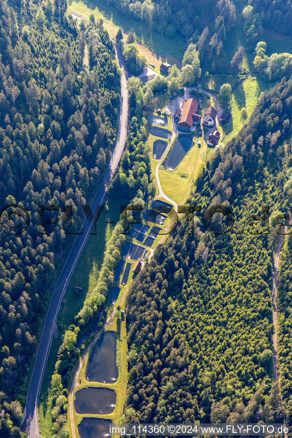 Vue aérienne de Zones riveraines des étangs piscicoles du Mühlkanal du Nagold dans le district de Völmlesmühle à Grömbach dans le département Bade-Wurtemberg, Allemagne