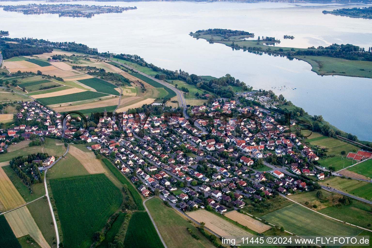 Vue aérienne de Zones riveraines du lac Untersee/lac de Constance à Allensbach dans le département Bade-Wurtemberg, Allemagne