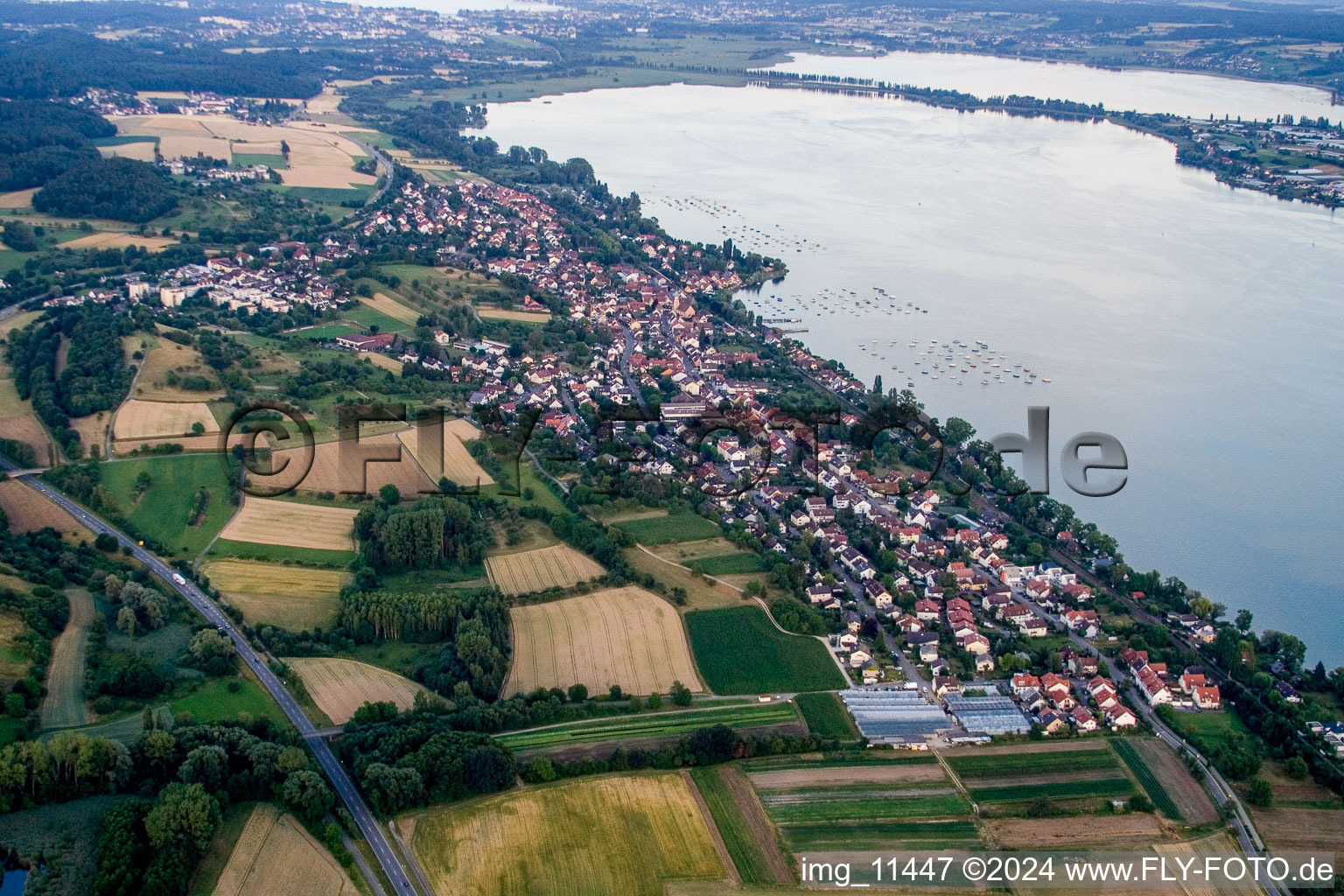 Vue aérienne de Zones riveraines du lac Untersee/lac de Constance à Allensbach dans le département Bade-Wurtemberg, Allemagne