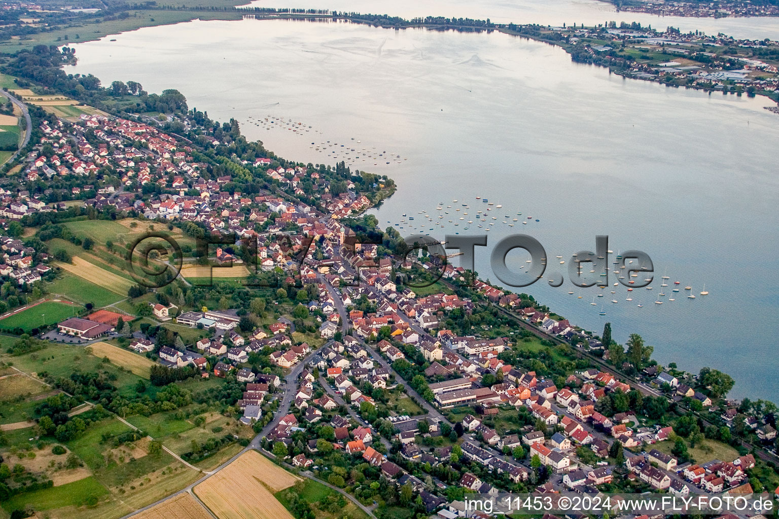 Photographie aérienne de Zones riveraines du lac Untersee/lac de Constance à Allensbach dans le département Bade-Wurtemberg, Allemagne