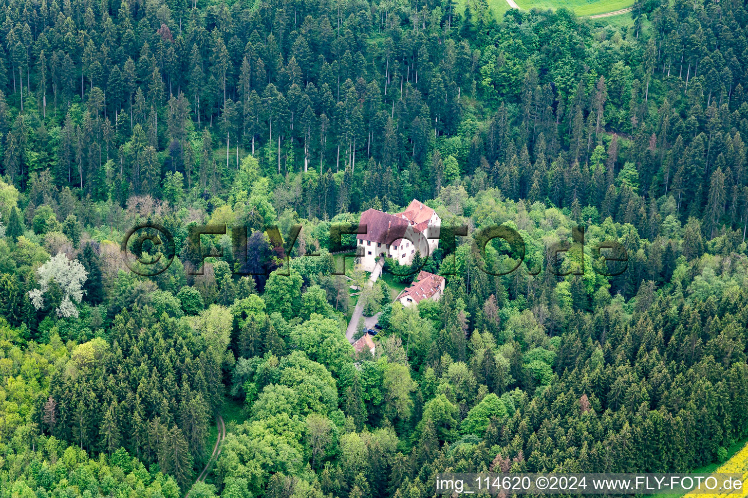 Vue aérienne de Château de Lichentegg à Epfendorf dans le département Bade-Wurtemberg, Allemagne