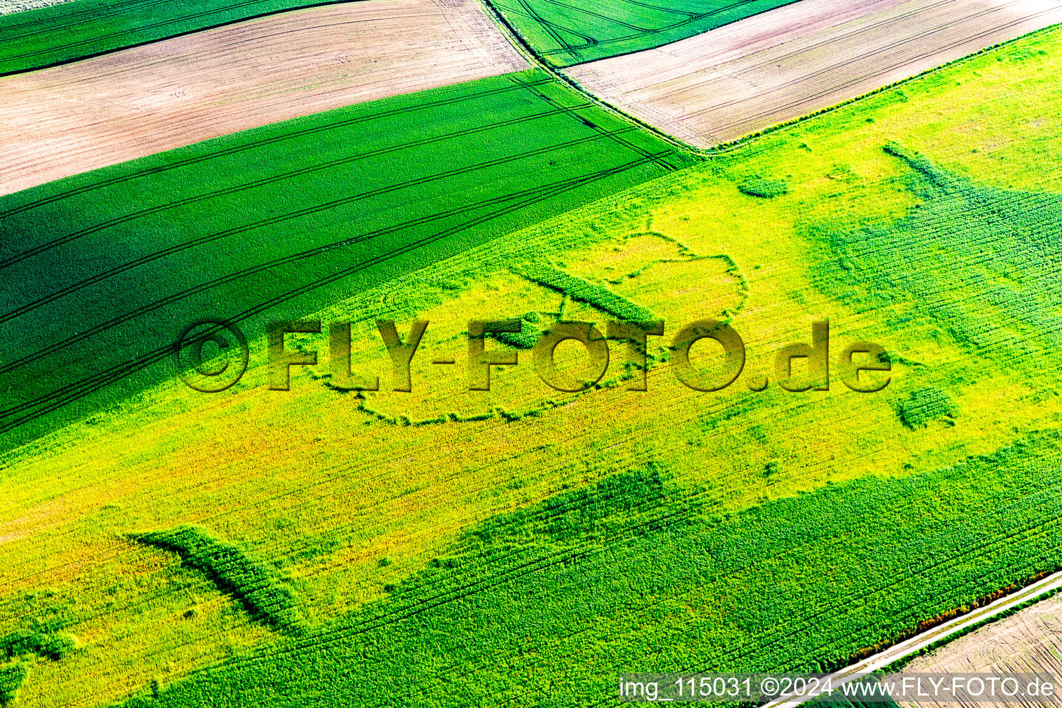 Enregistrement par drone de Seltz dans le département Bas Rhin, France