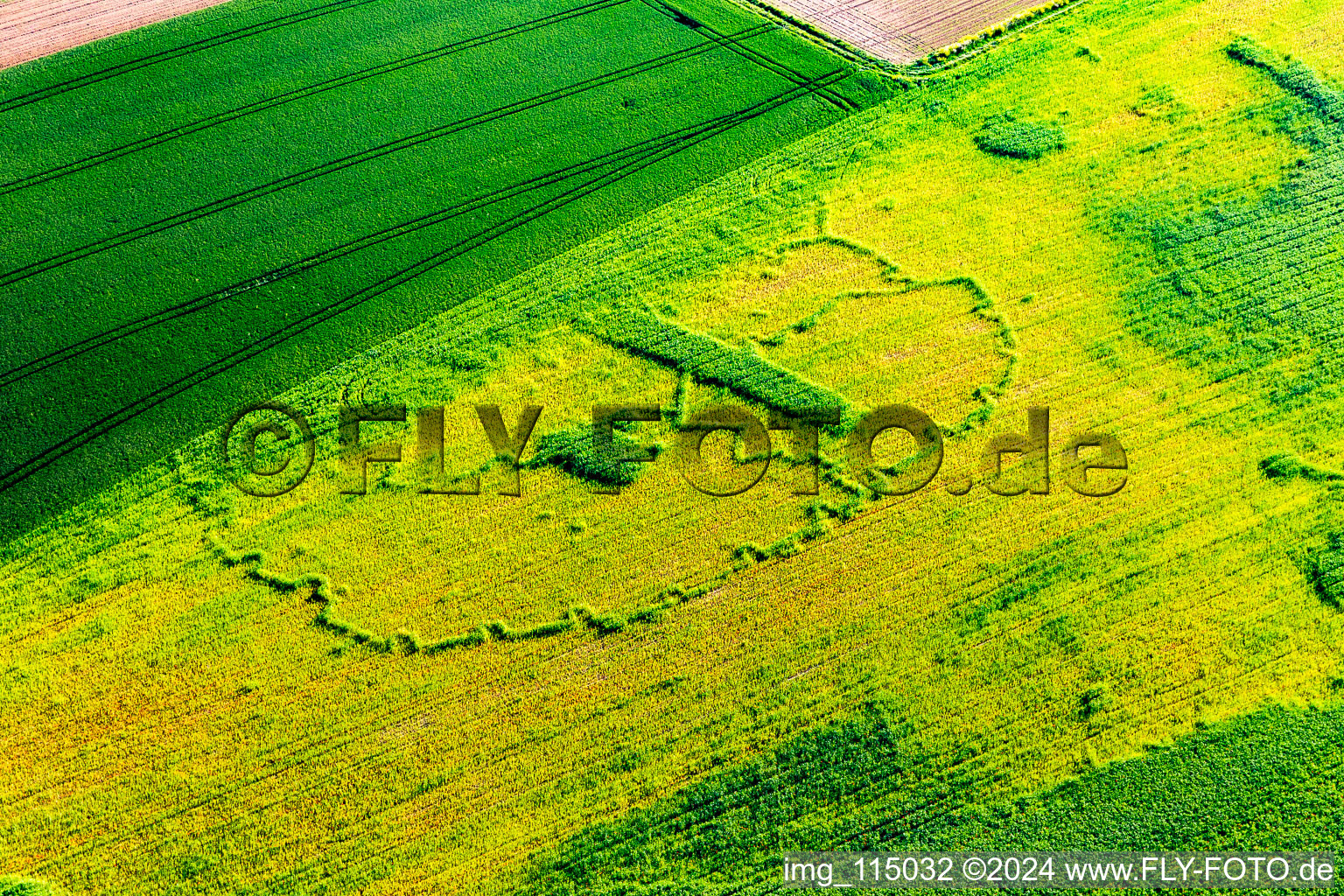 Image drone de Seltz dans le département Bas Rhin, France