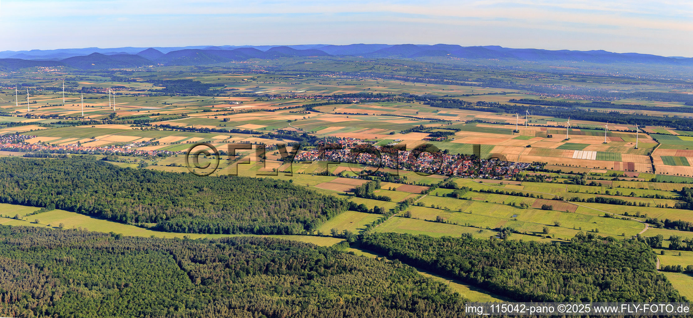 Vue aérienne de Panorama depuis le sud à Minfeld dans le département Rhénanie-Palatinat, Allemagne