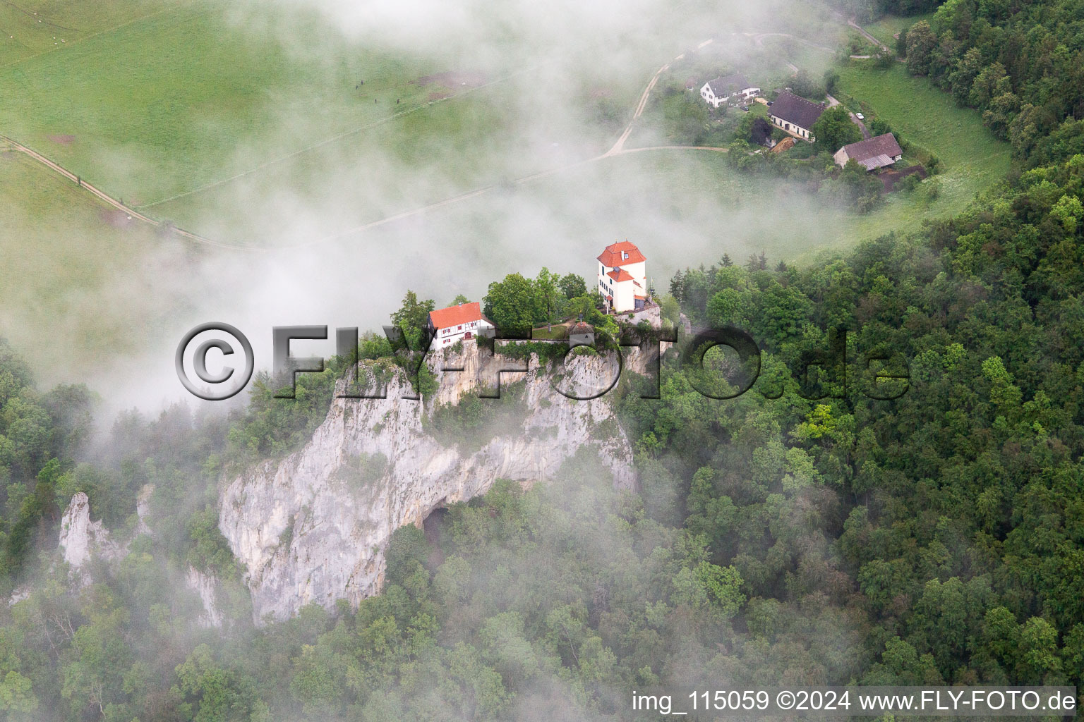 Vue aérienne de Château de Bronnen à Fridingen an der Donau dans le département Bade-Wurtemberg, Allemagne