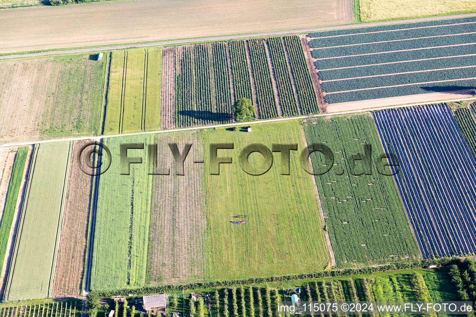 Quartier Mühlhofen in Billigheim-Ingenheim dans le département Rhénanie-Palatinat, Allemagne depuis l'avion