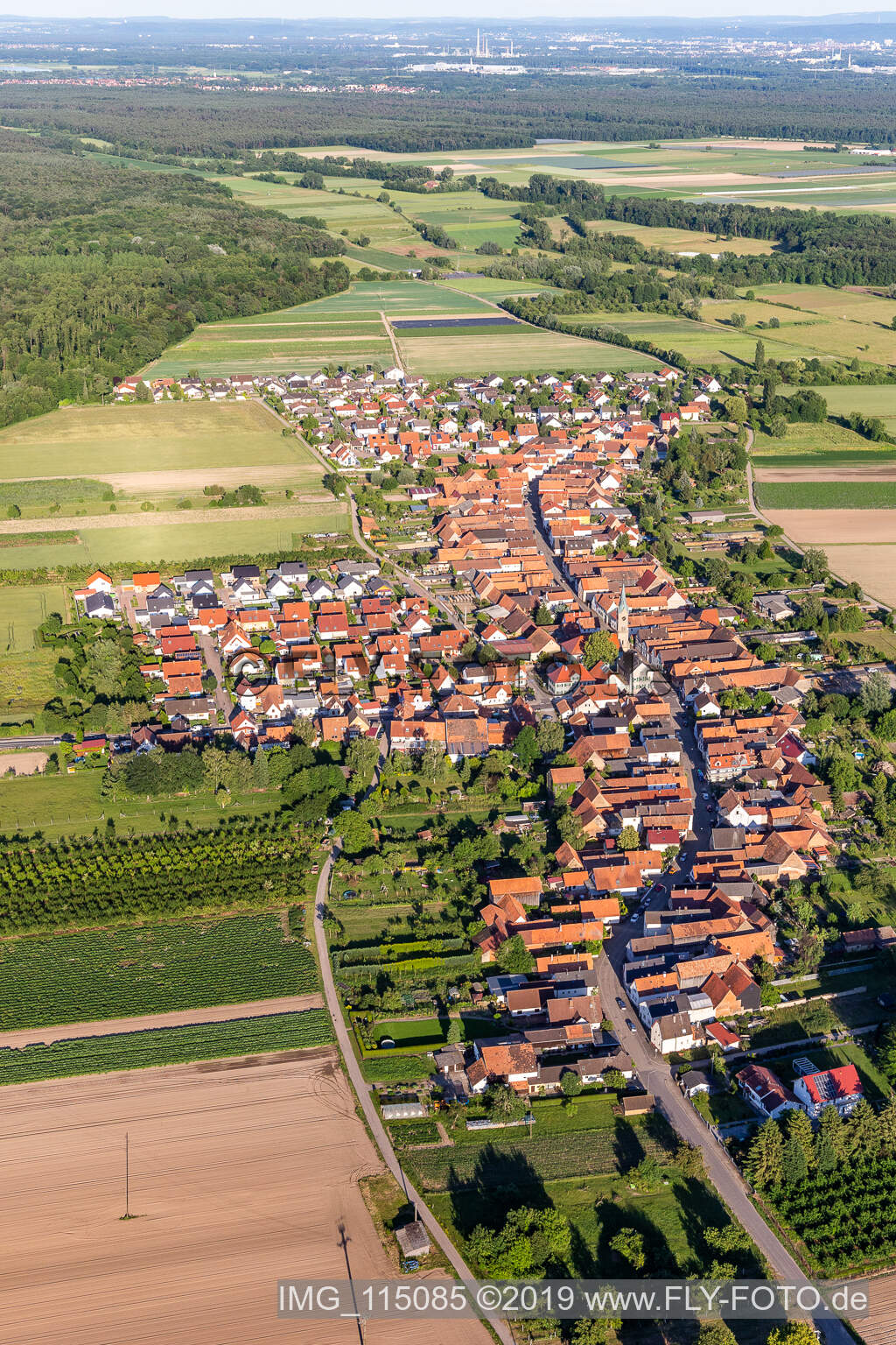 Vue aérienne de Erlenbach bei Kandel dans le département Rhénanie-Palatinat, Allemagne