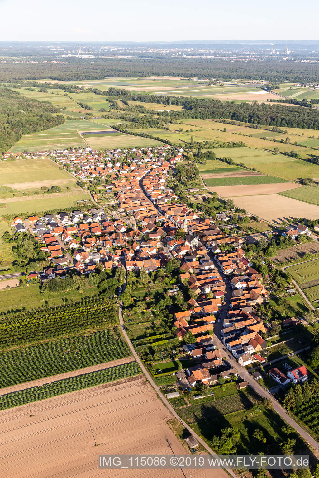 Photographie aérienne de Erlenbach bei Kandel dans le département Rhénanie-Palatinat, Allemagne